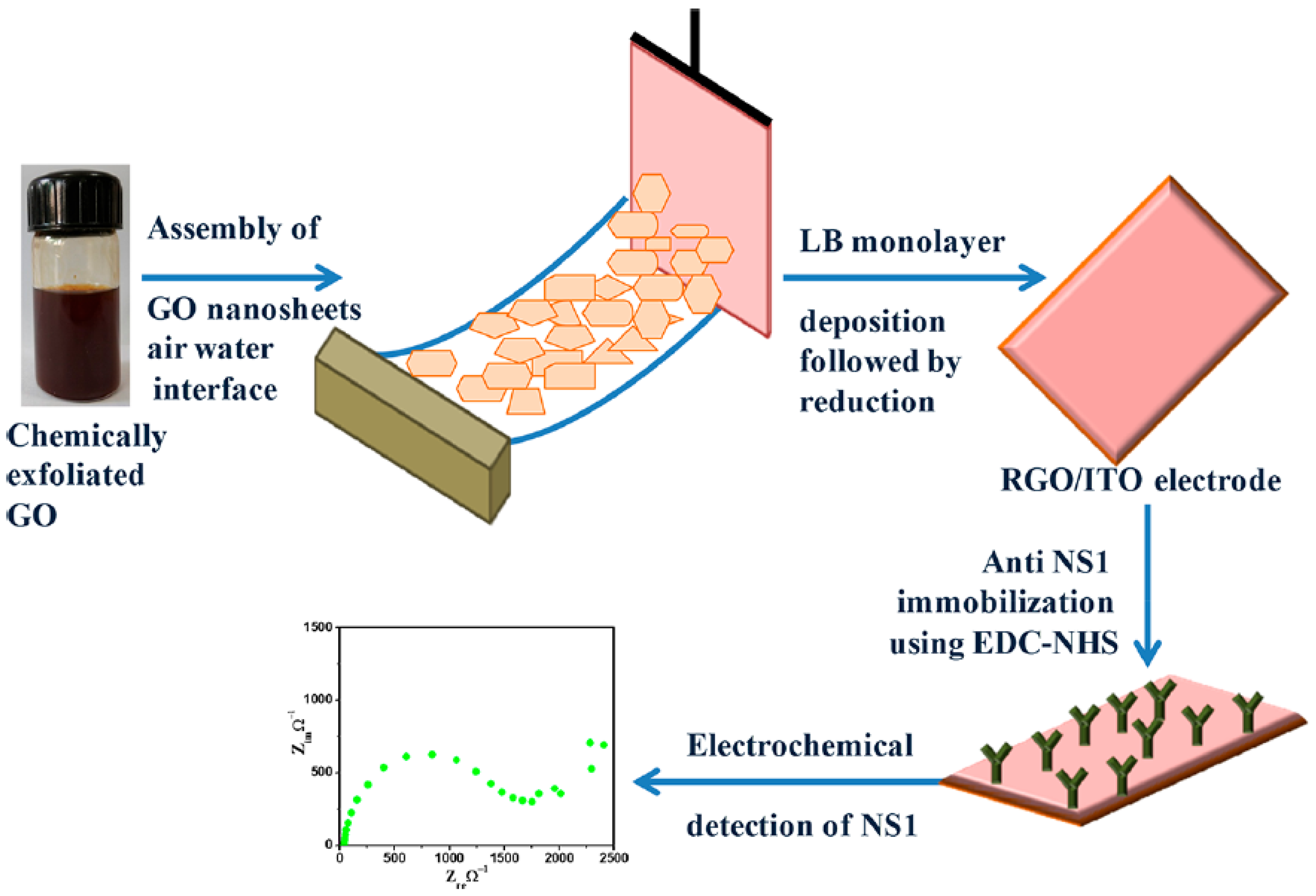 Biosensors 13 00349 g006