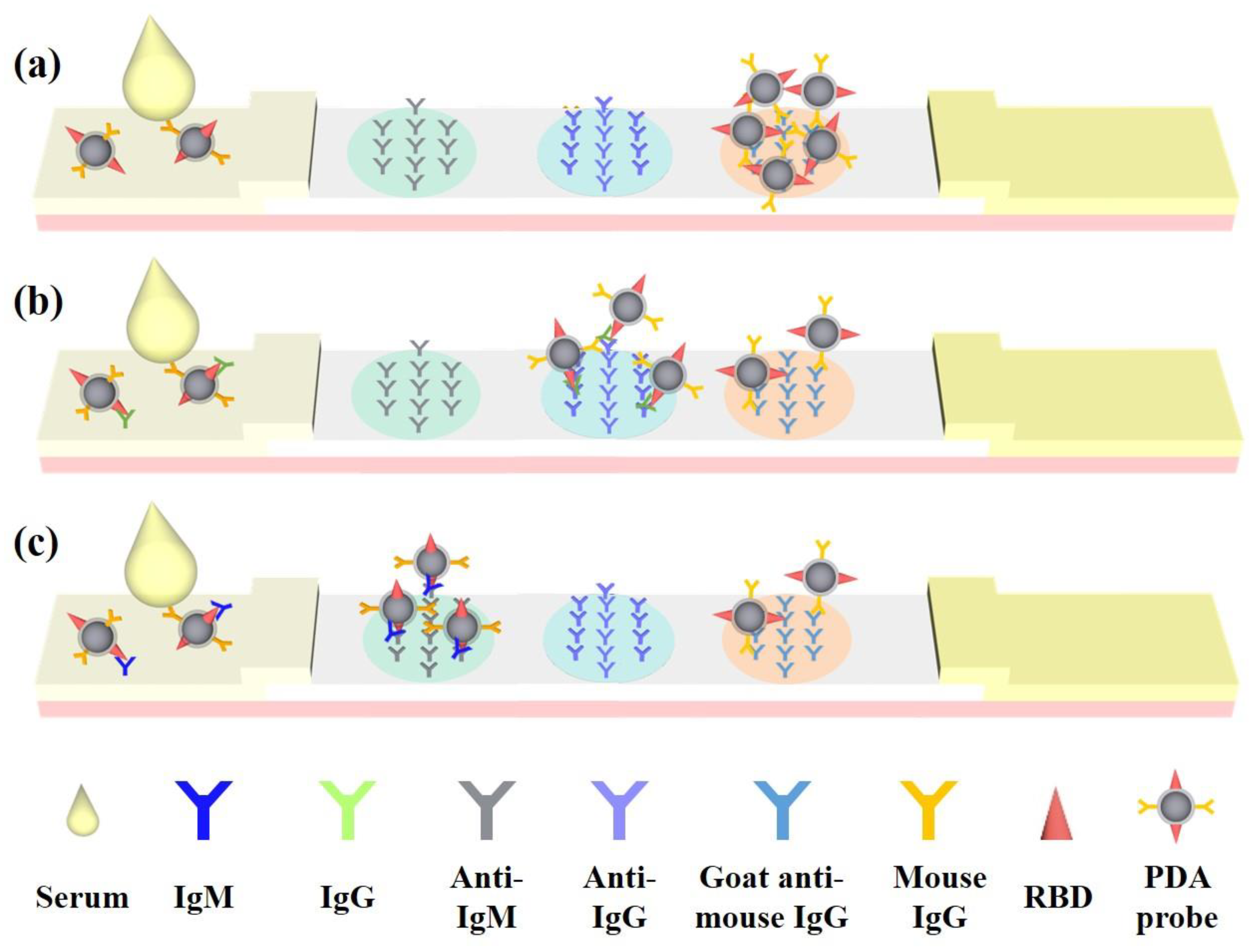 Biosensors 13 00352 g001
