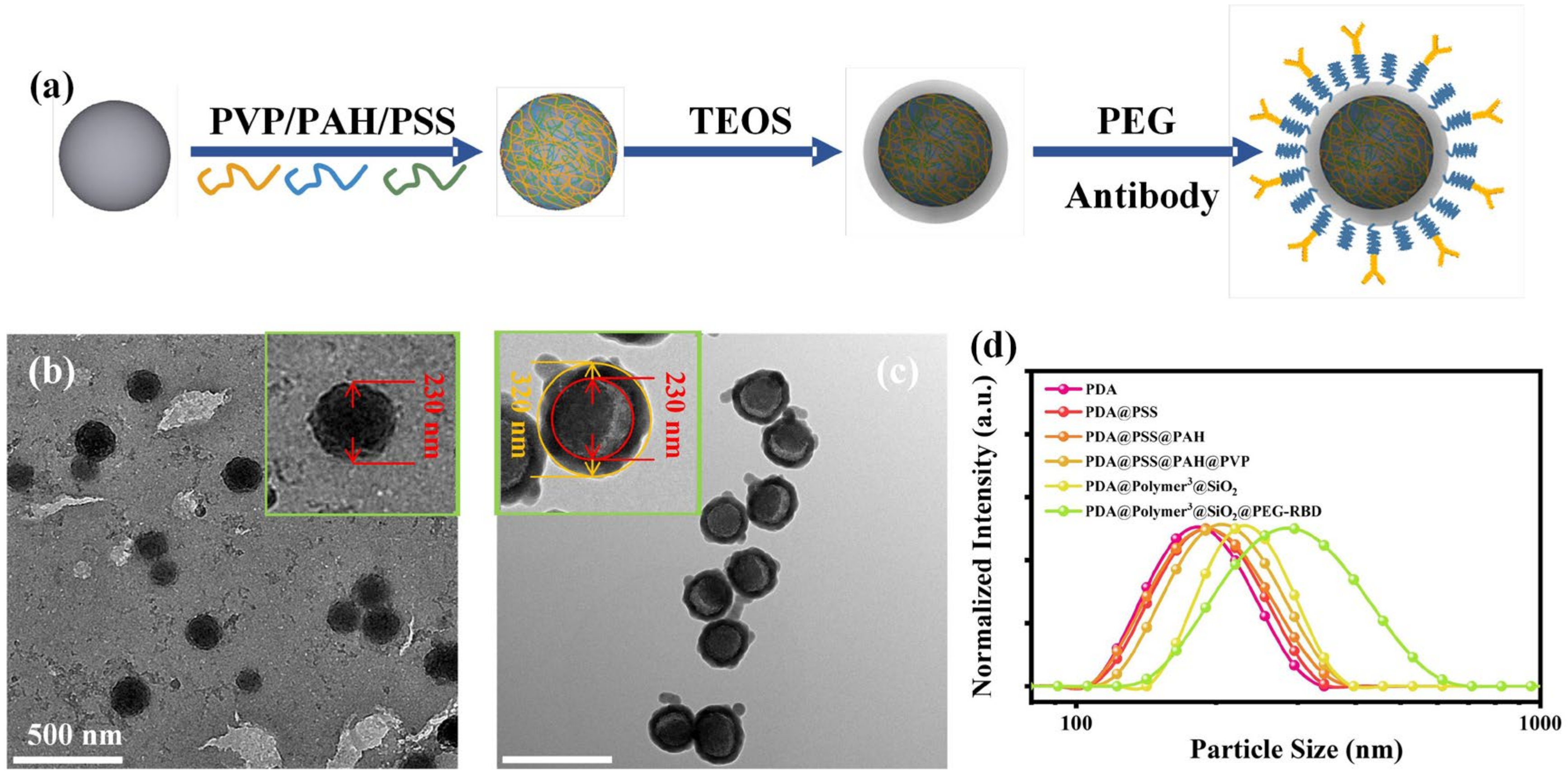 Biosensors 13 00352 g002