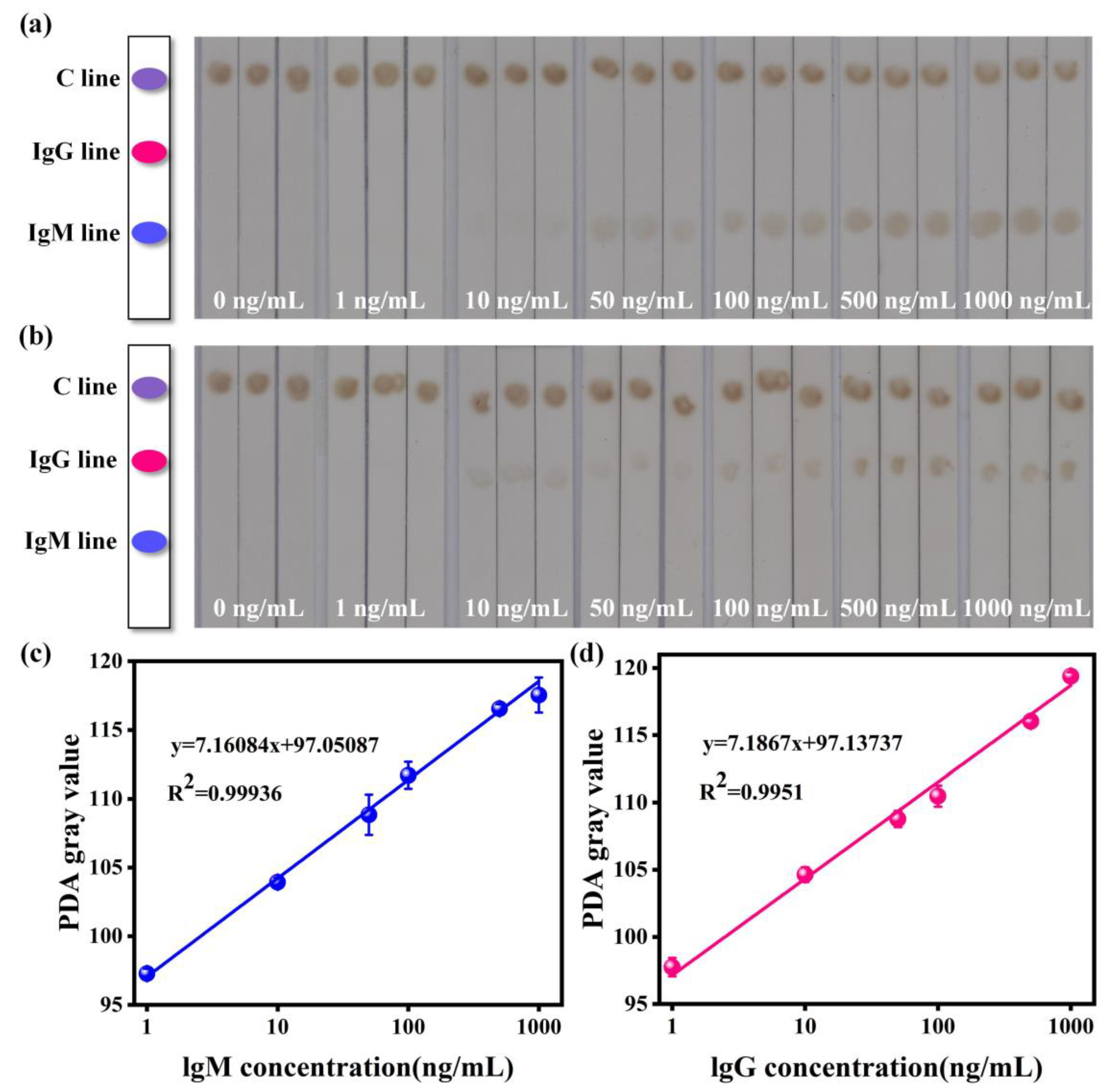 Biosensors 13 00352 g003