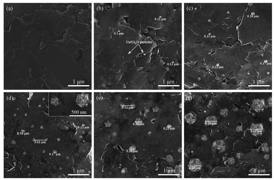 Biosensors 13 00353 g004