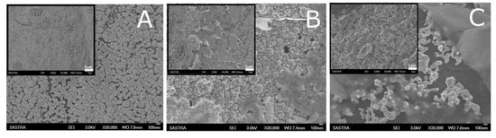 Biosensors 13 00353 g005
