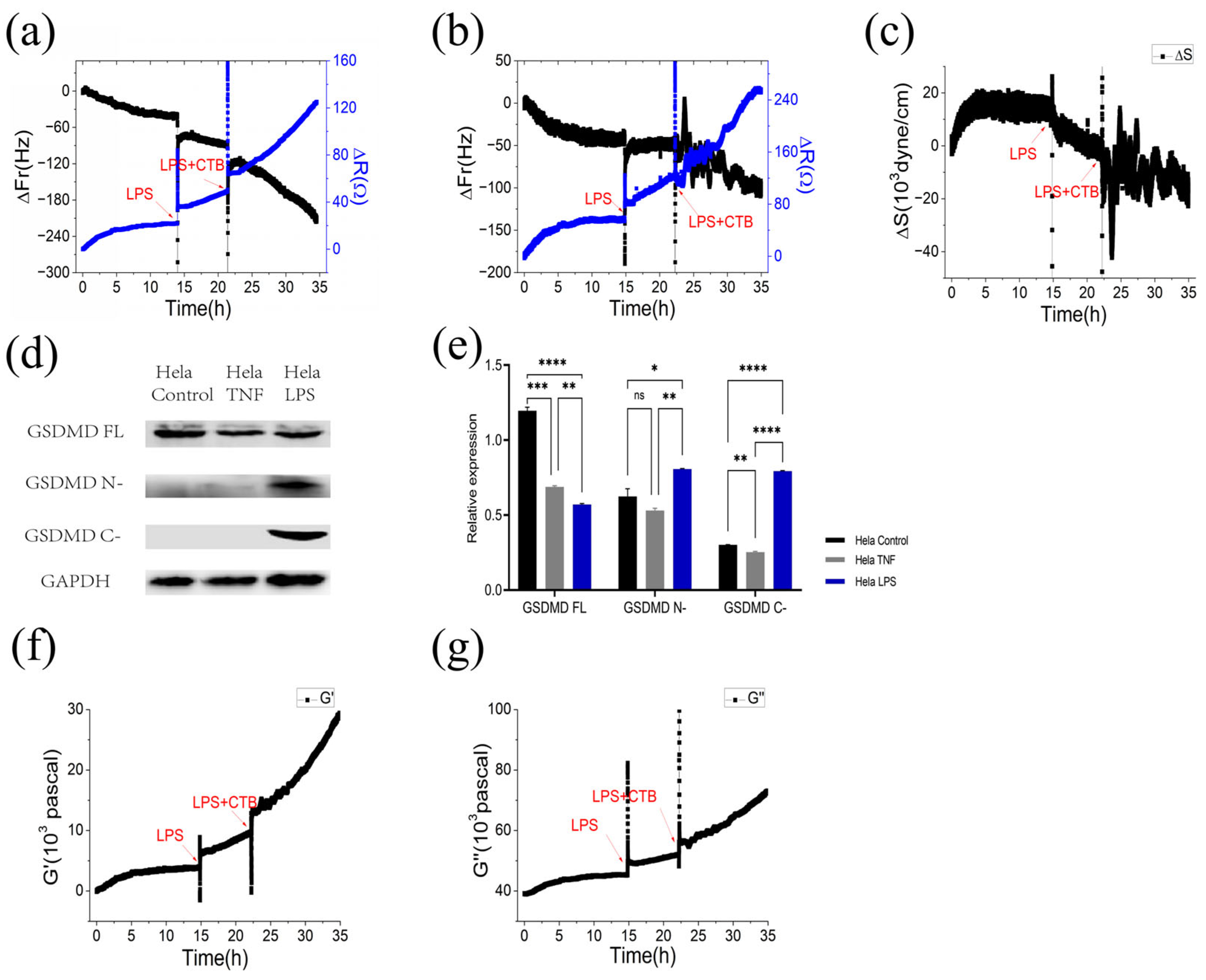 Biosensors 13 00356 g001