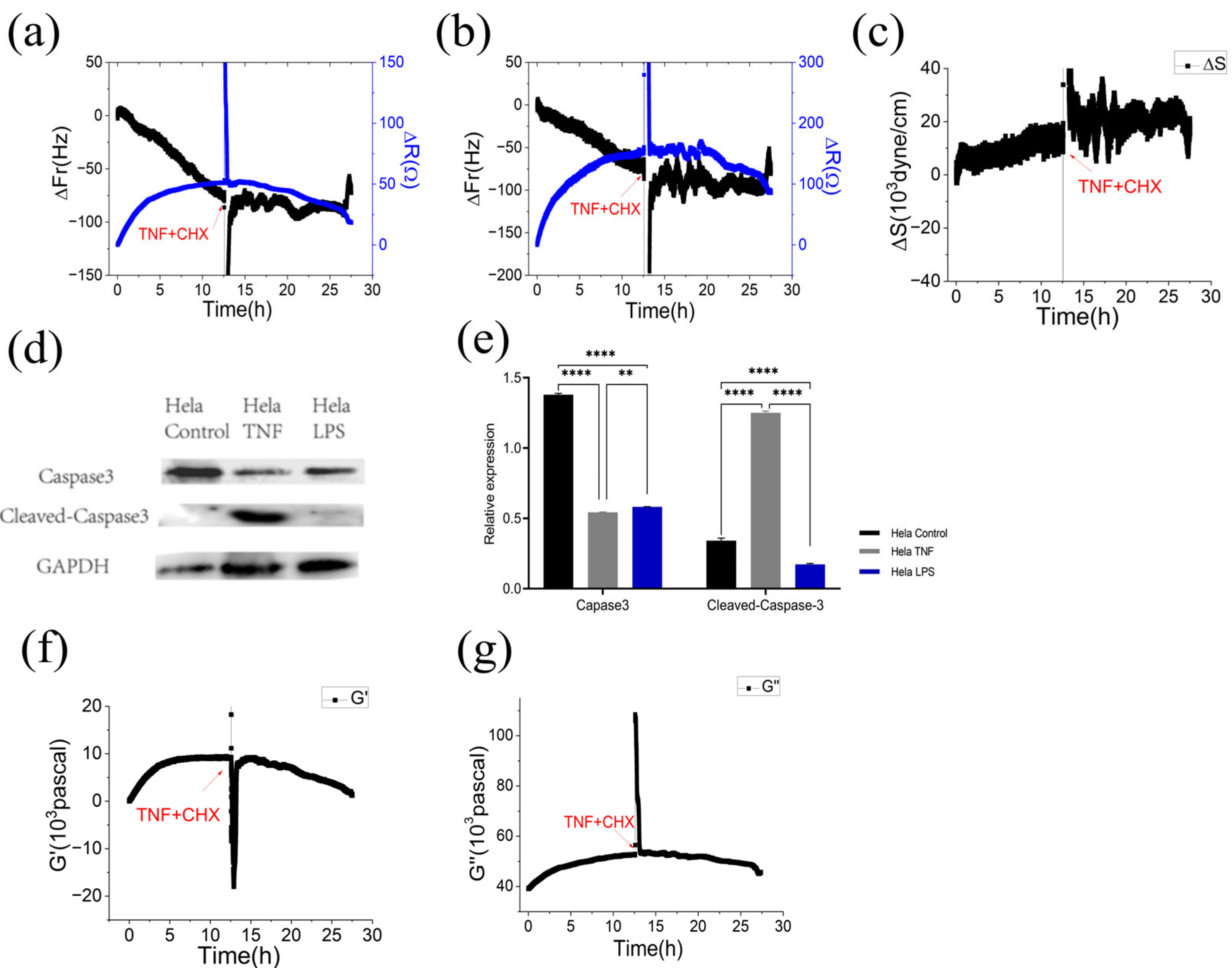 Biosensors 13 00356 g002