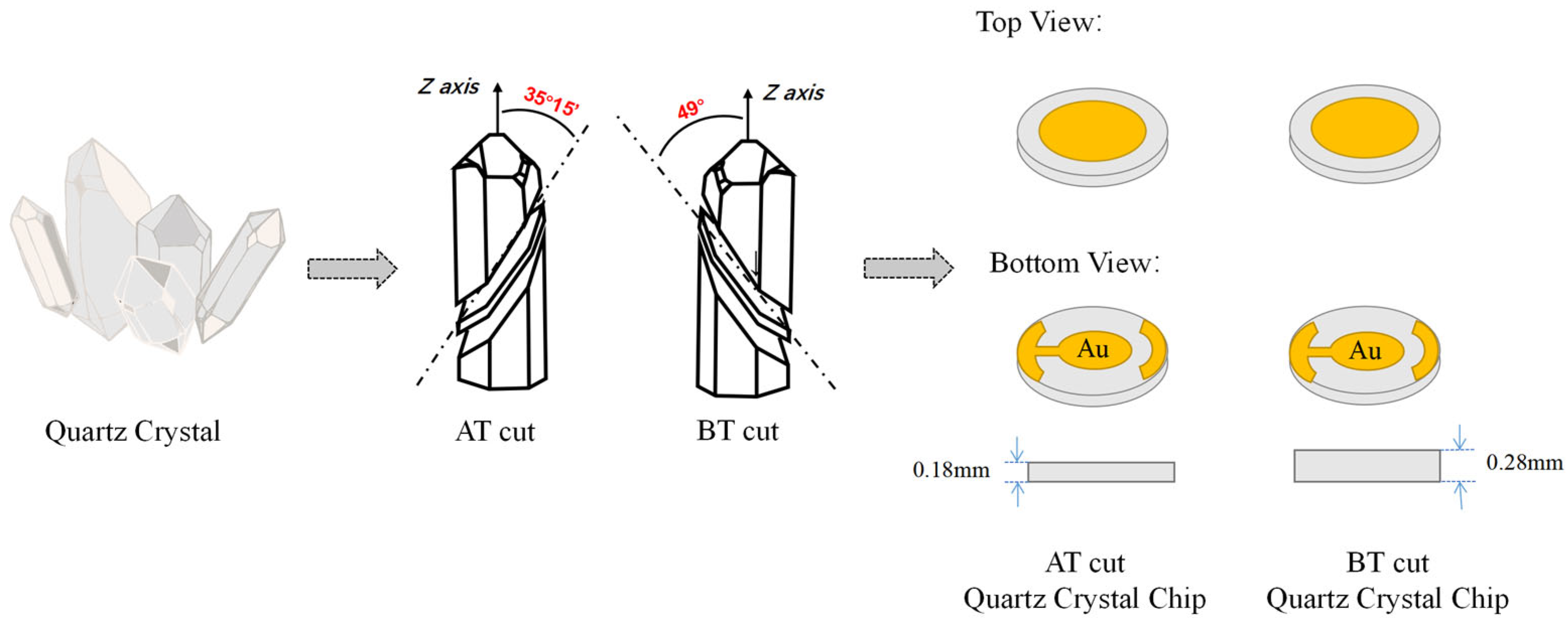 Biosensors 13 00356 sch001