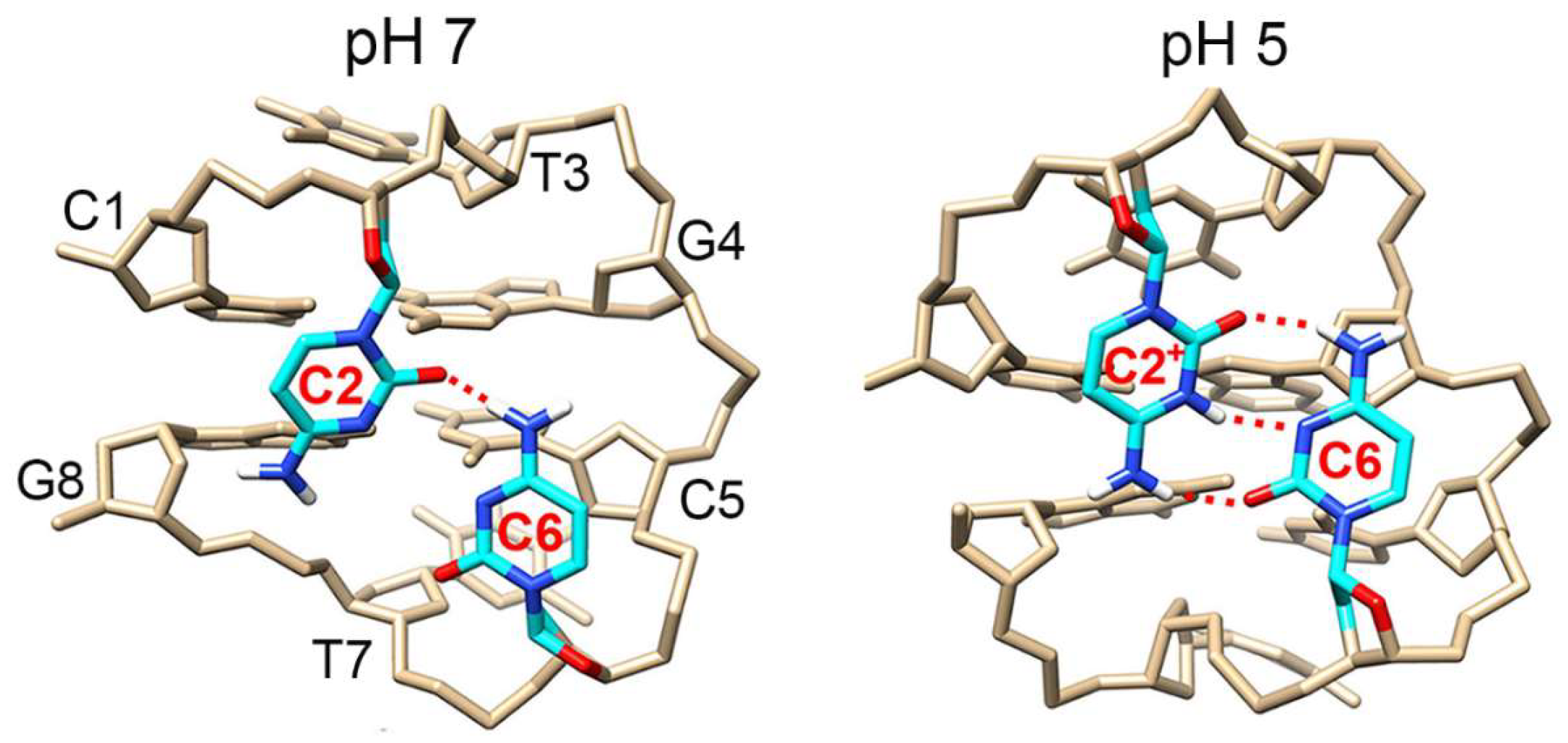 Biosensors 13 00358 g001