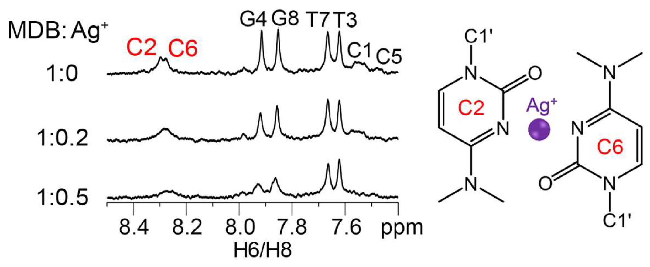 Biosensors 13 00358 g002