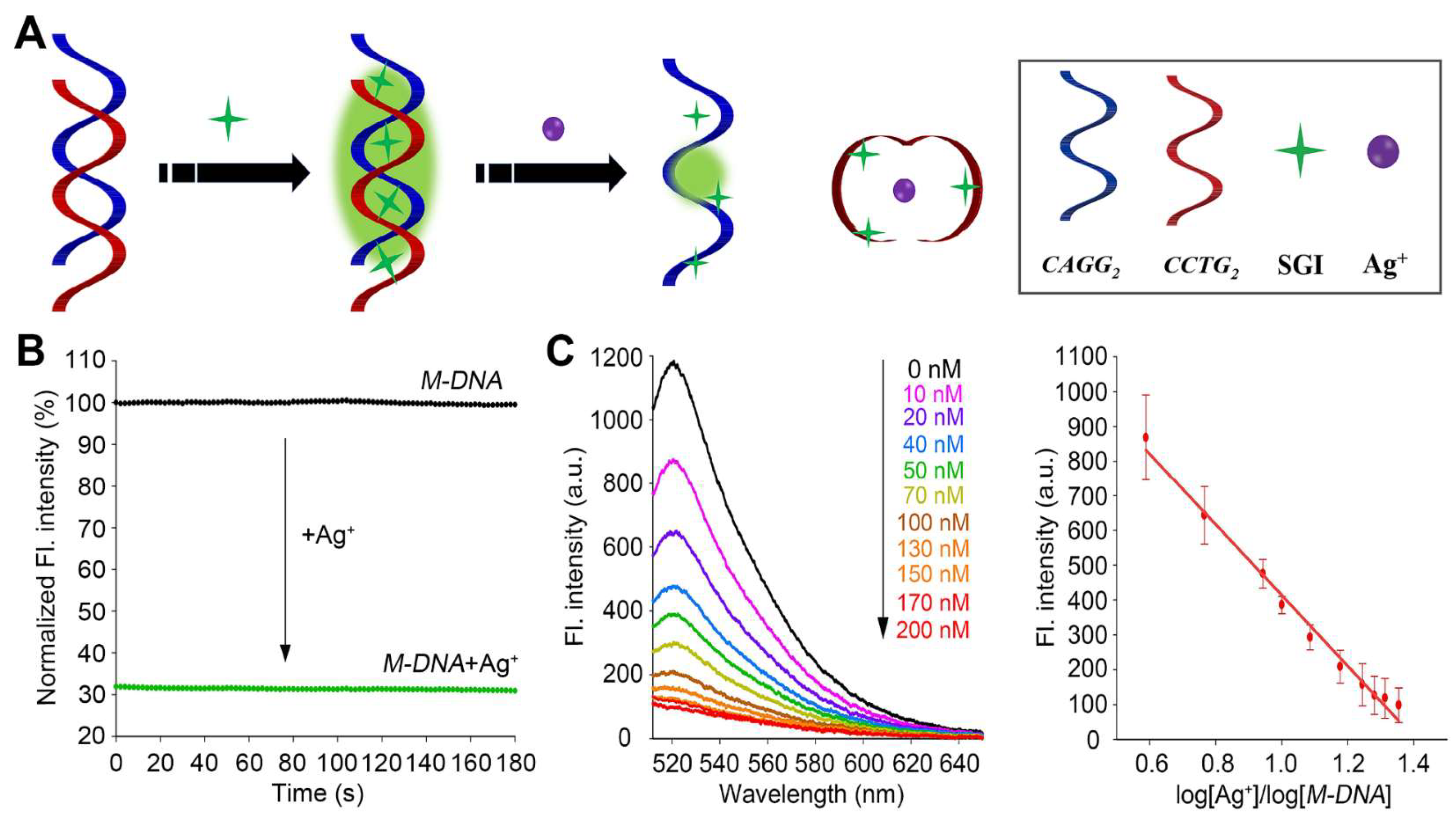 Biosensors 13 00358 g004