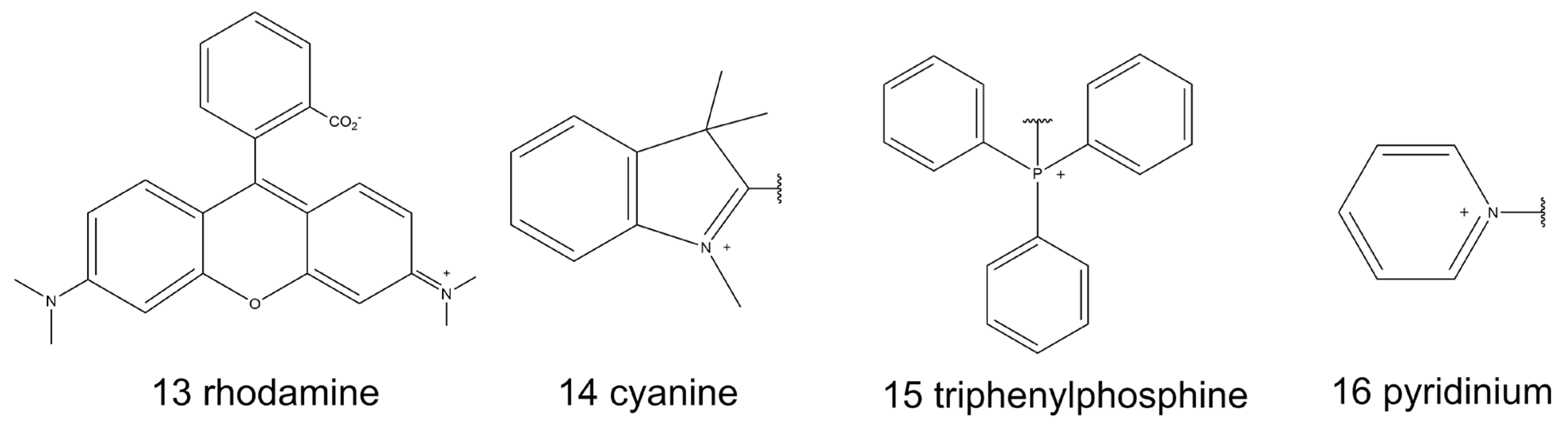 Biosensors 13 00360 sch002