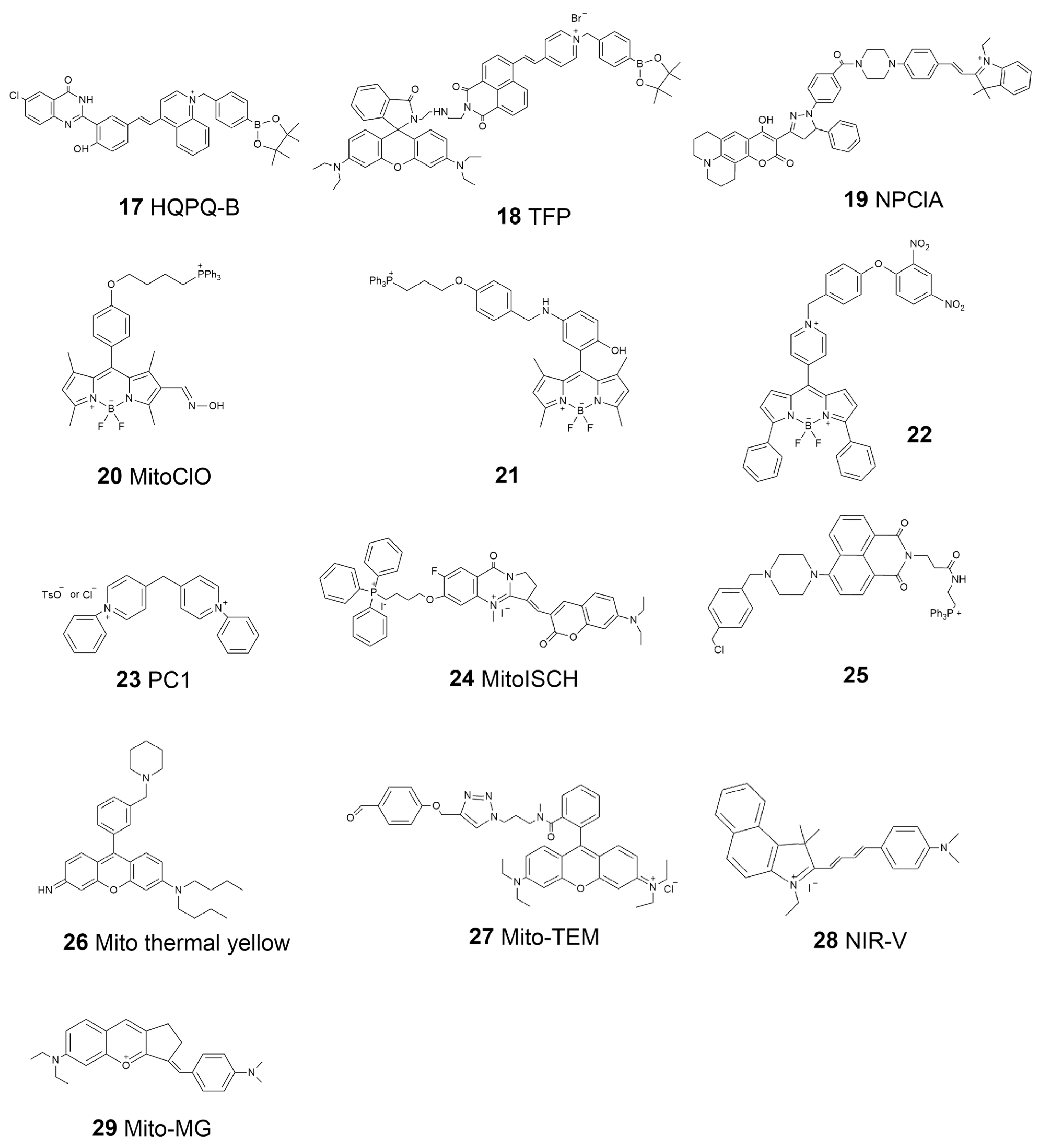 Biosensors 13 00360 sch003