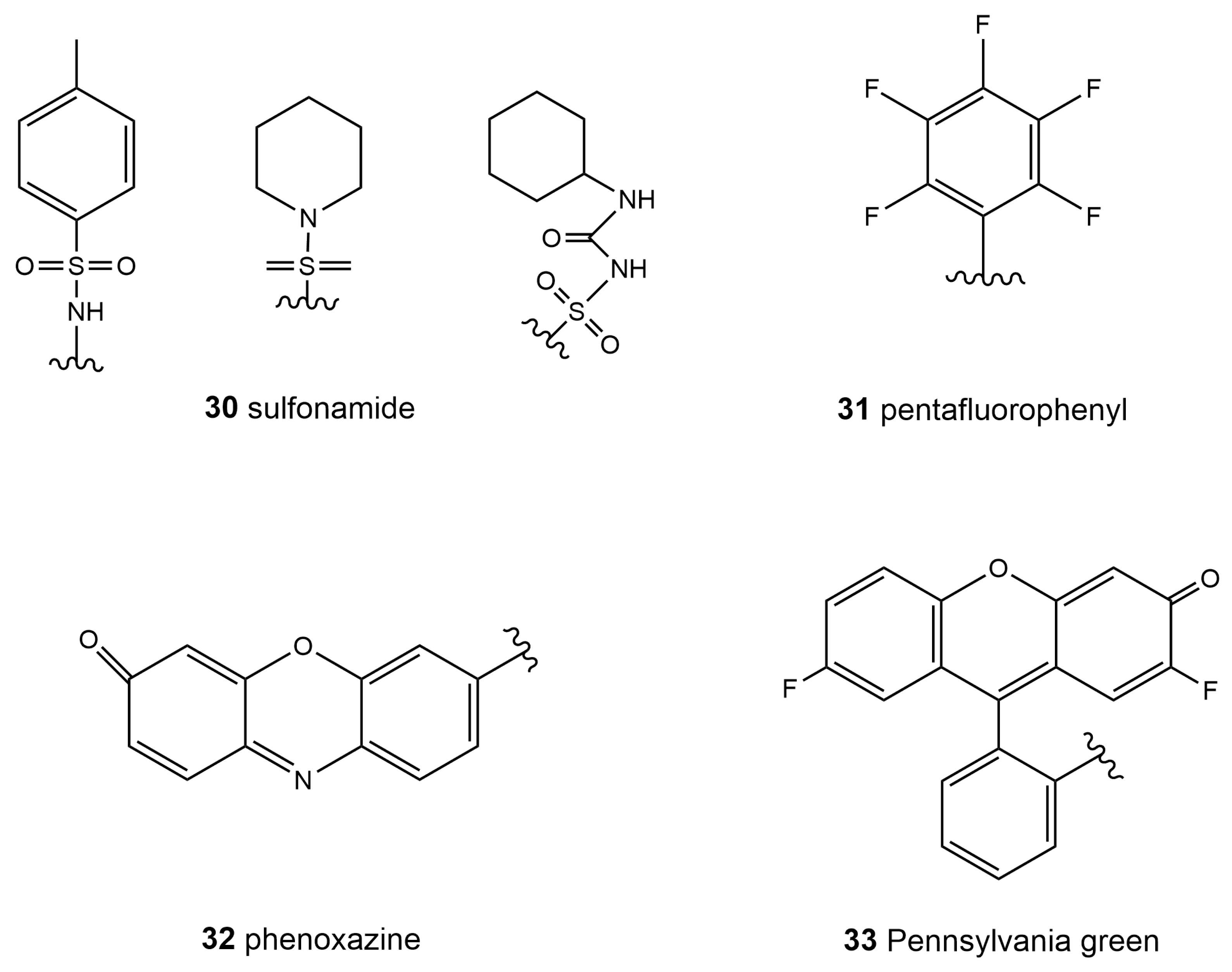 Biosensors 13 00360 sch004