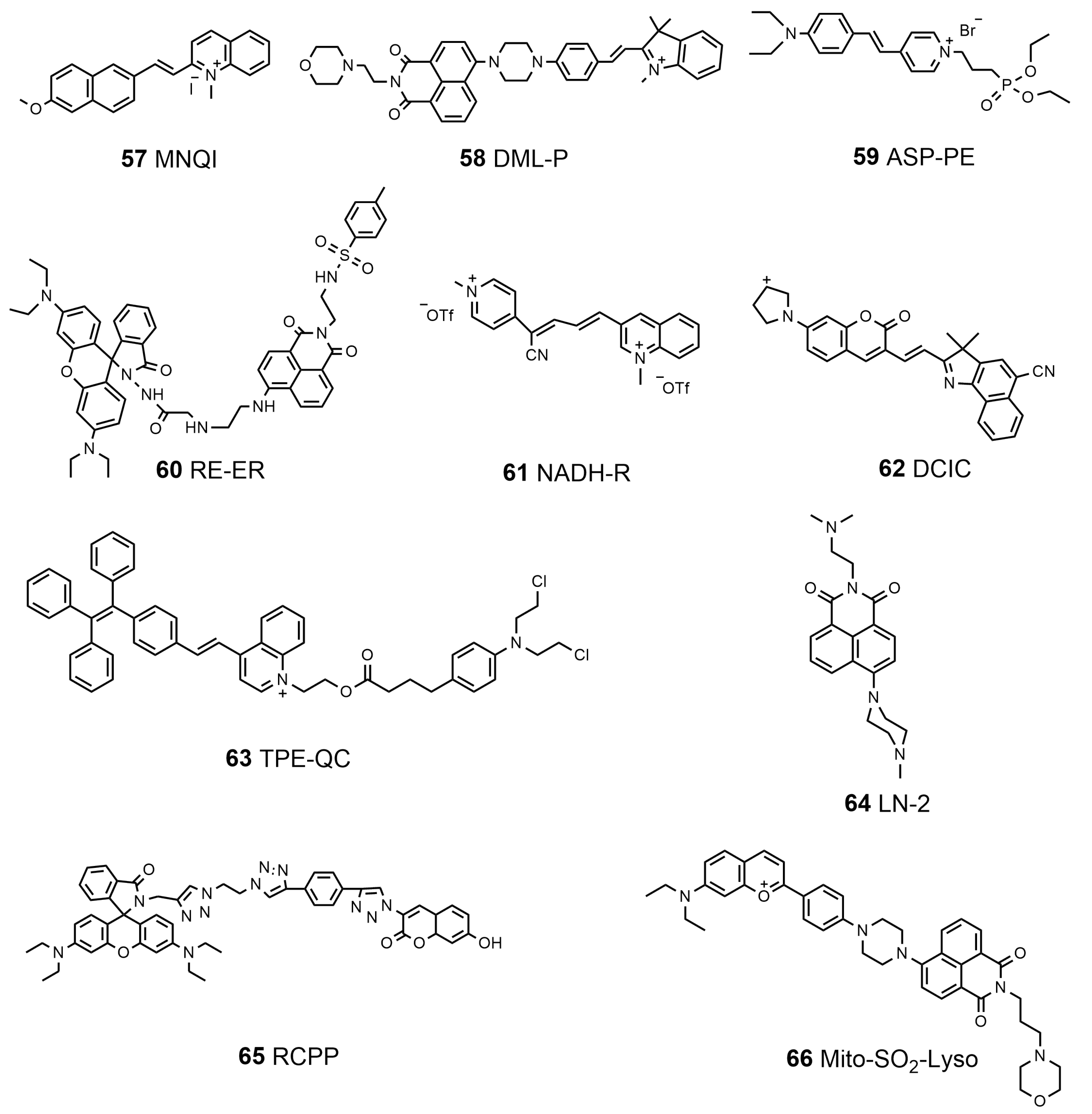 Biosensors 13 00360 sch007