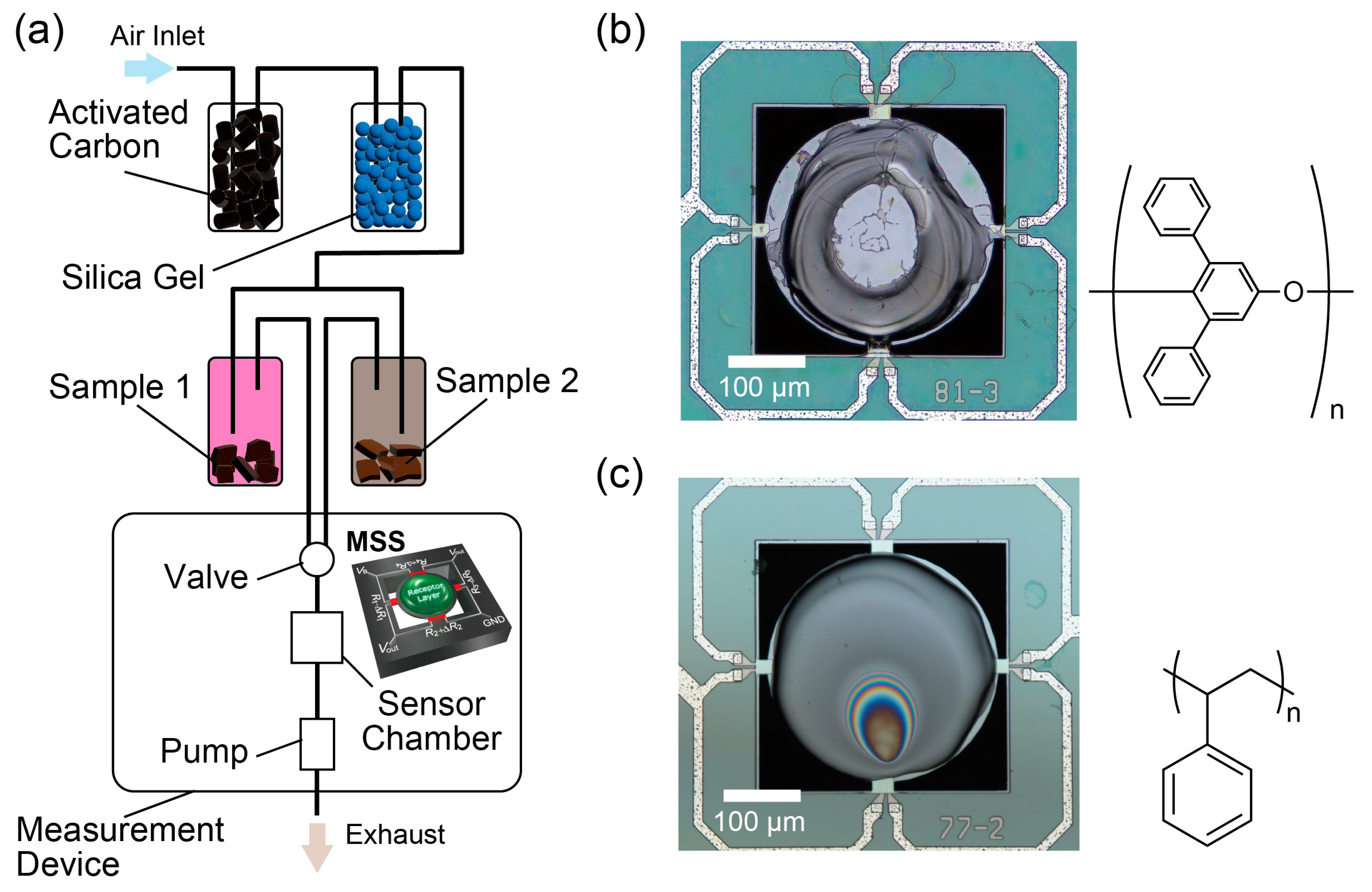 Biosensors 13 00368 g002