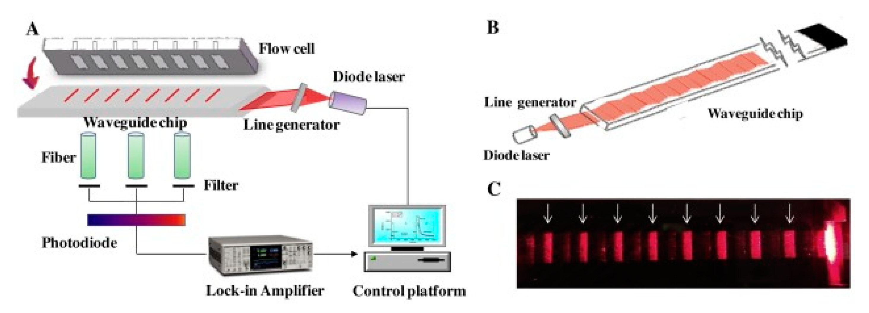 Biosensors 13 00370 g004