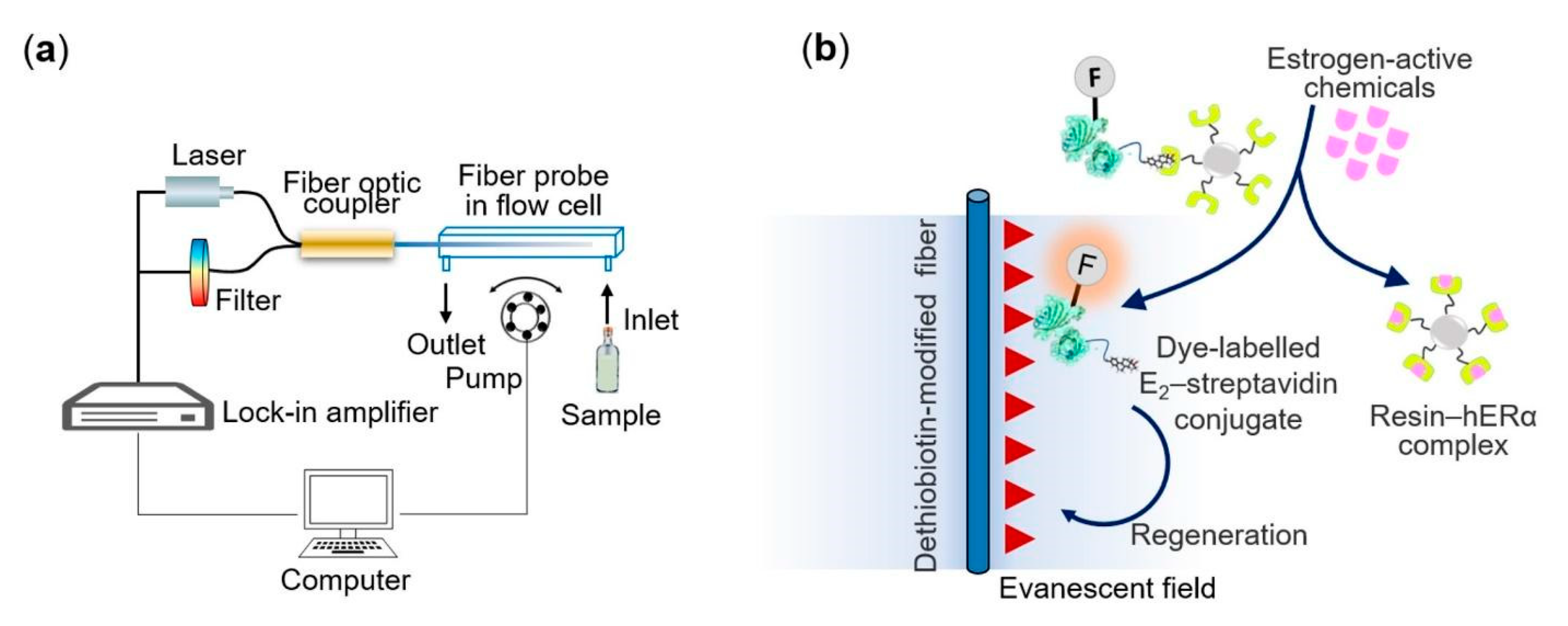 Biosensors 13 00370 g005