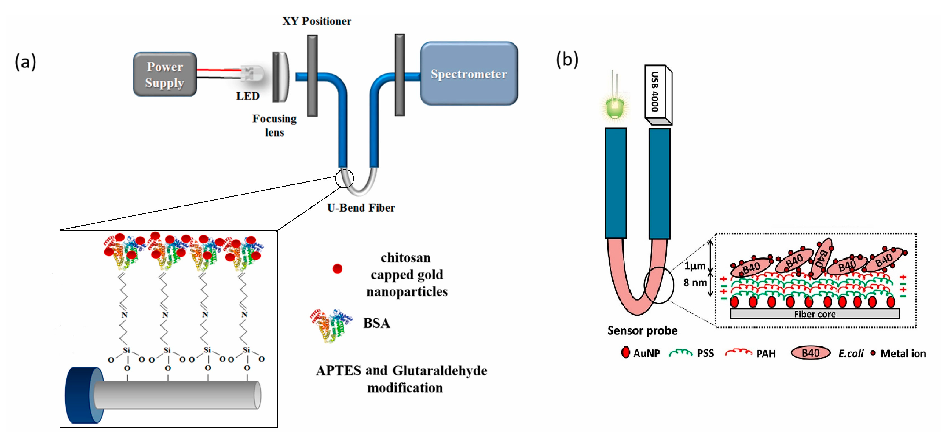 Biosensors 13 00370 g008