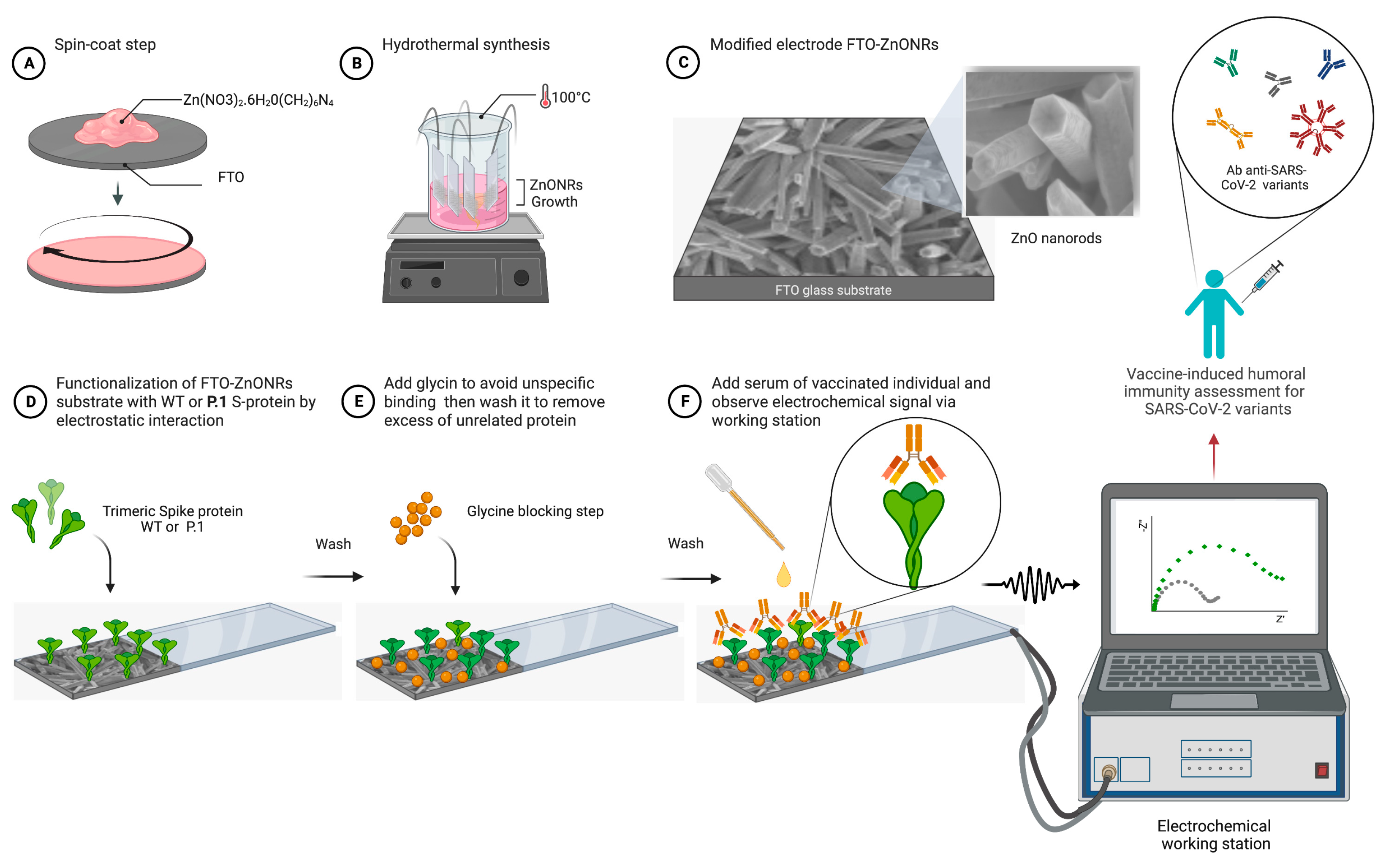 Biosensors 13 00371 g001