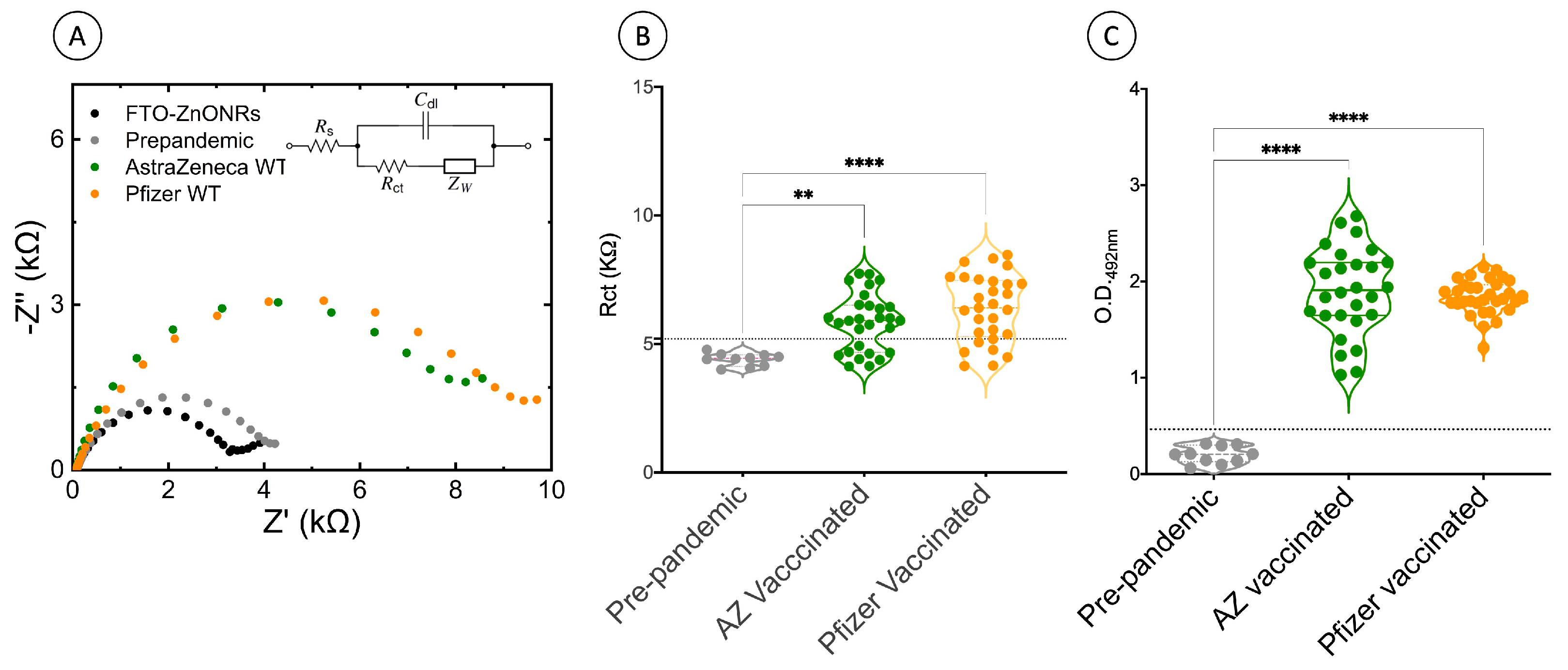 Biosensors 13 00371 g002