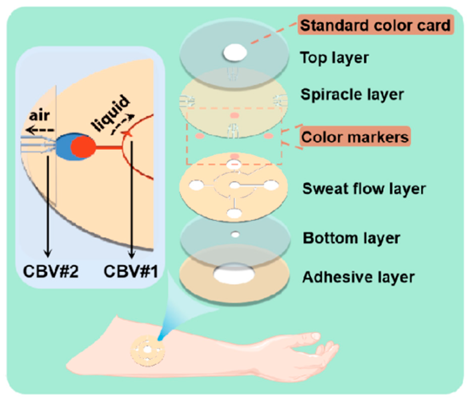 Biosensors 13 00372 g001