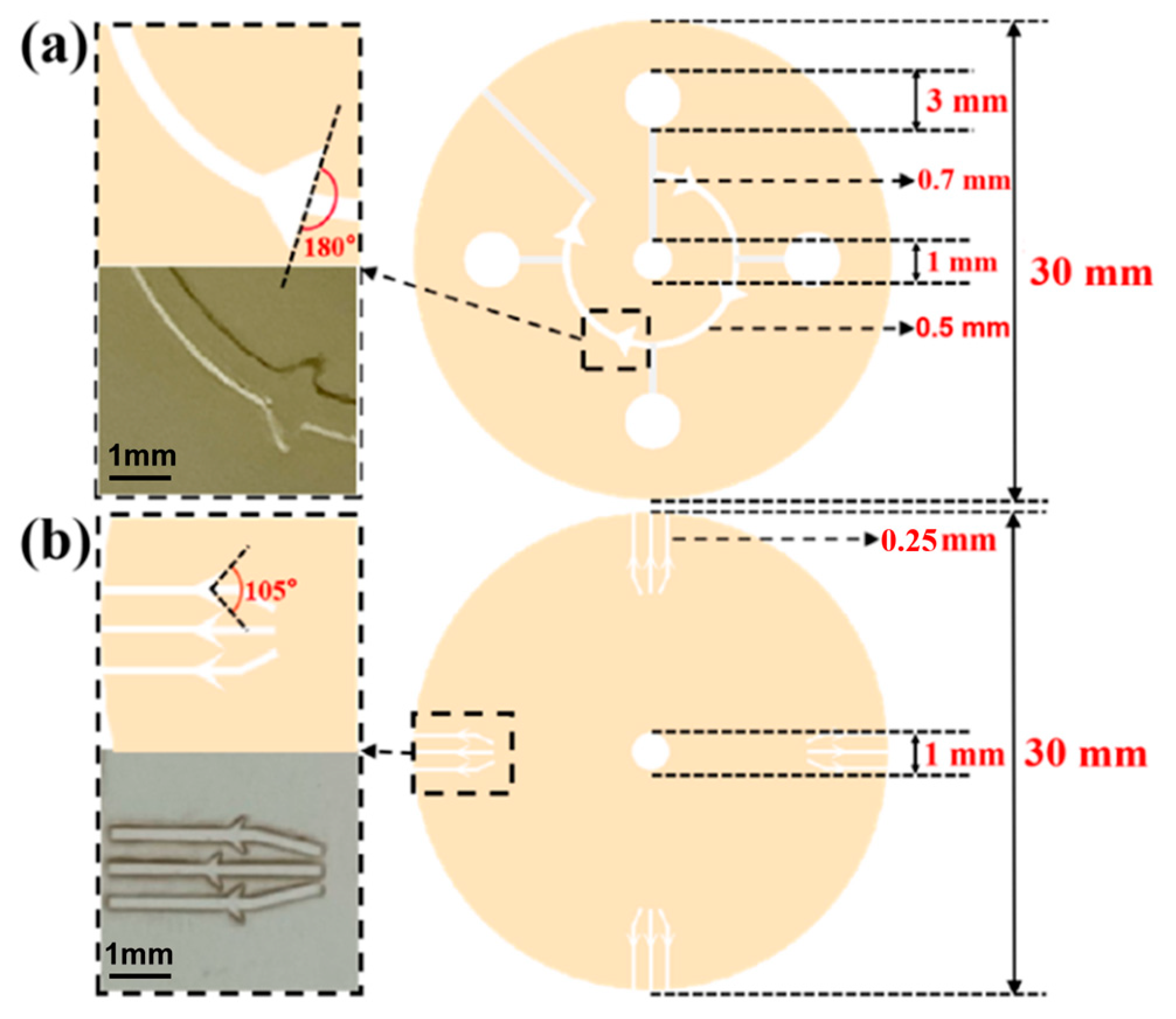 Biosensors 13 00372 g002