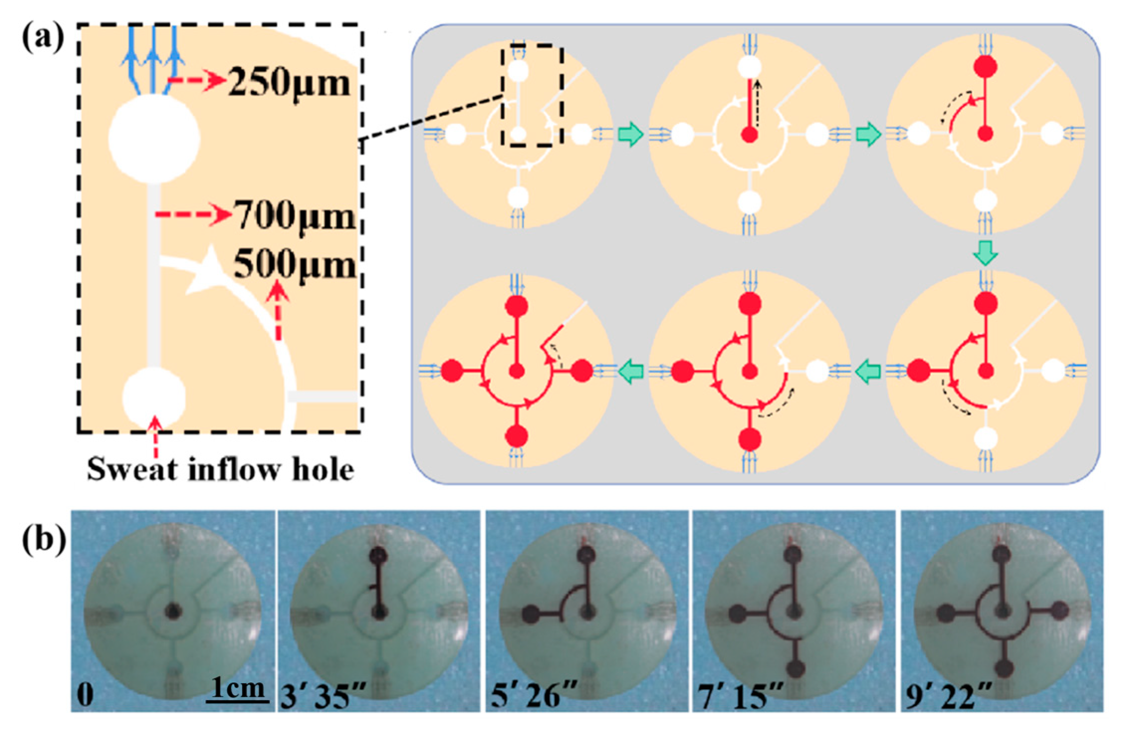 Biosensors 13 00372 g007