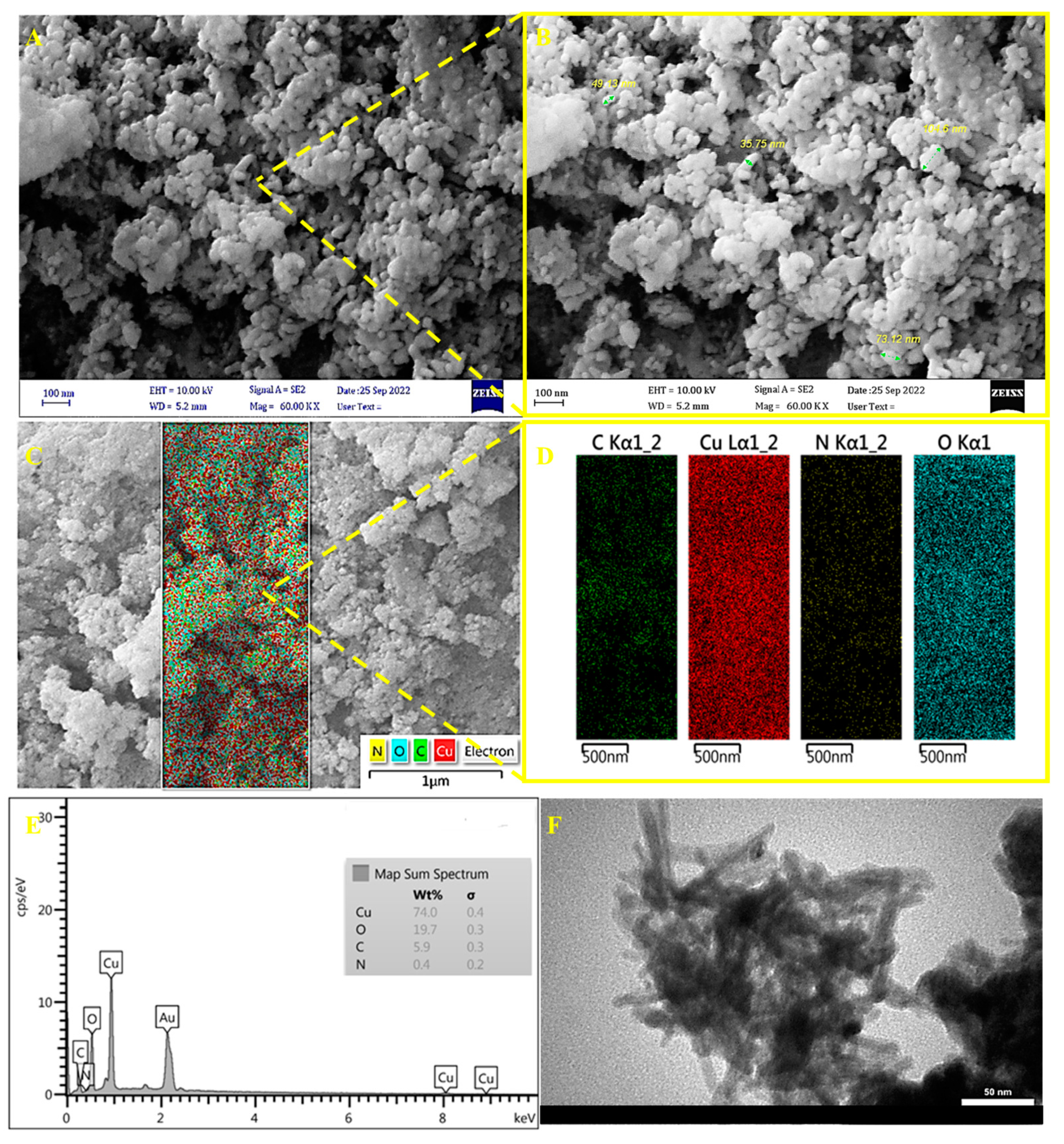 Biosensors 13 00374 g001