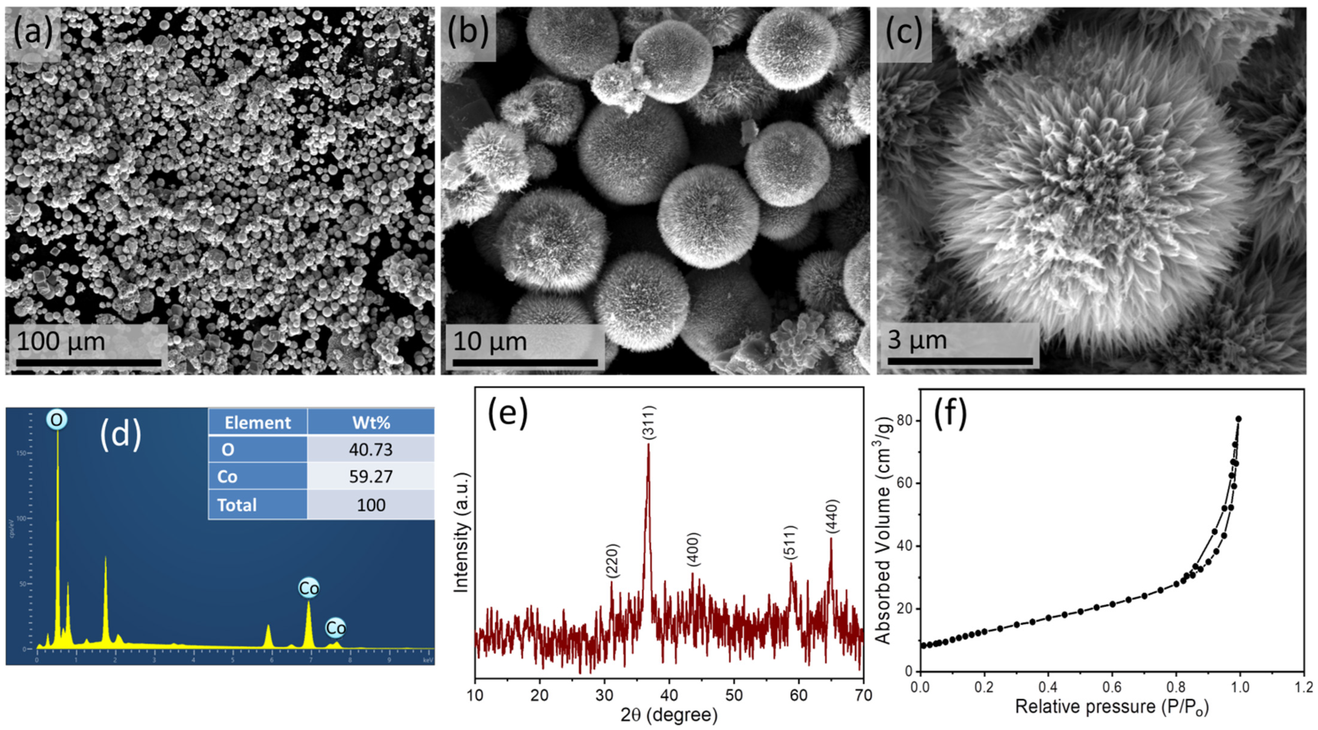 Biosensors 13 00375 g002 Biosensors 13 00375 g002