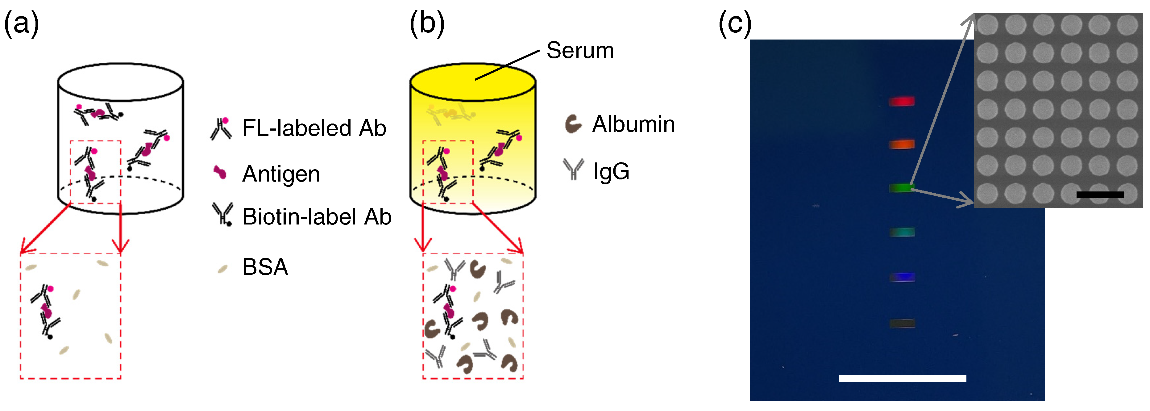 Biosensors 13 00377 g001