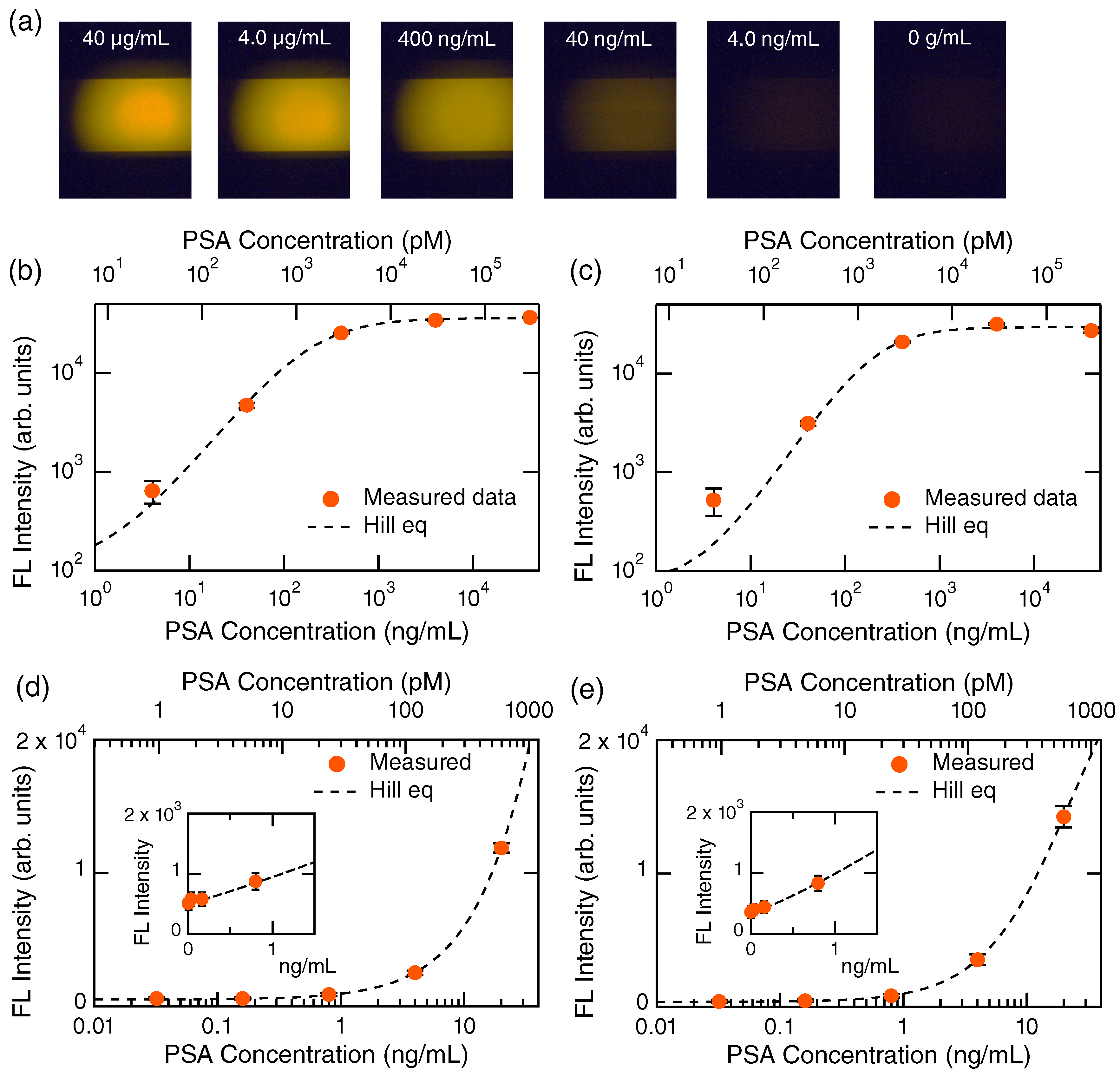 Biosensors 13 00377 g002