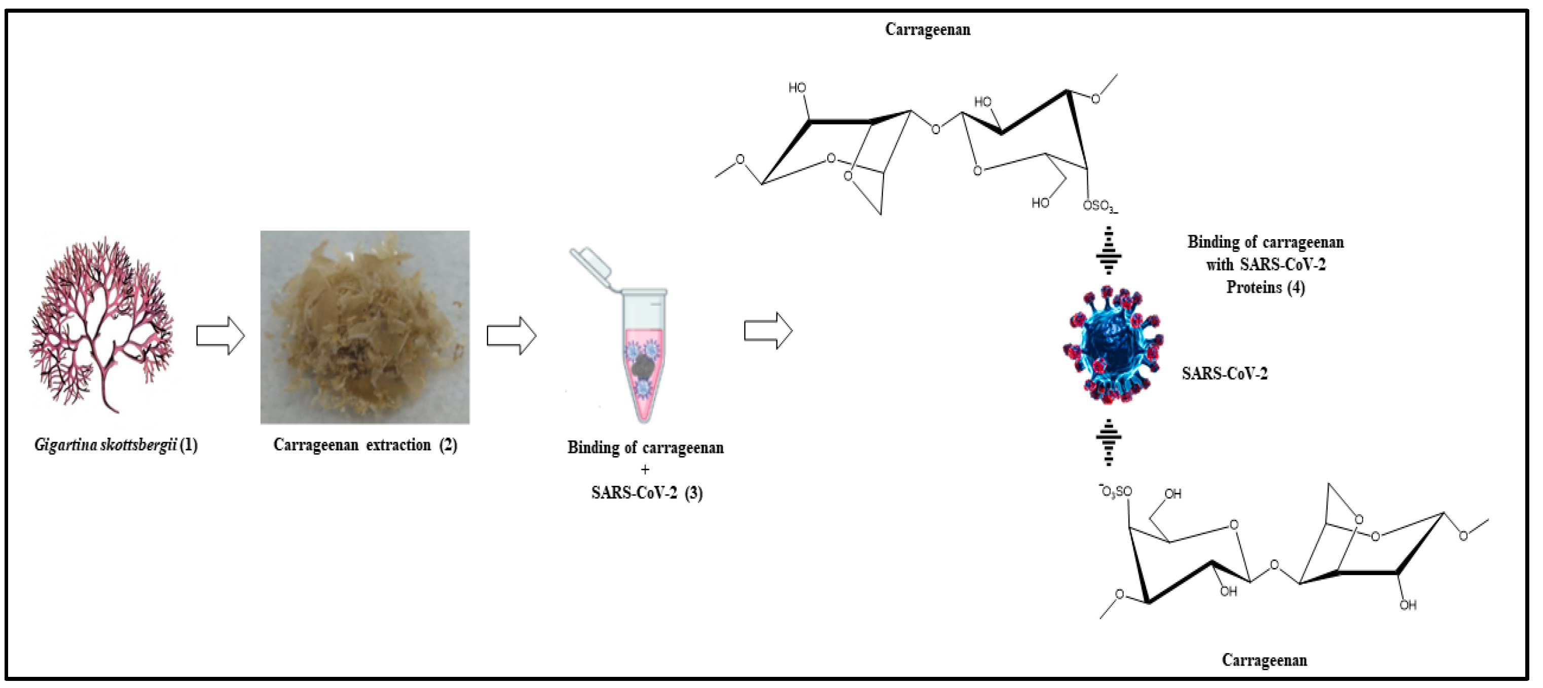 Biosensors 13 00378 g009