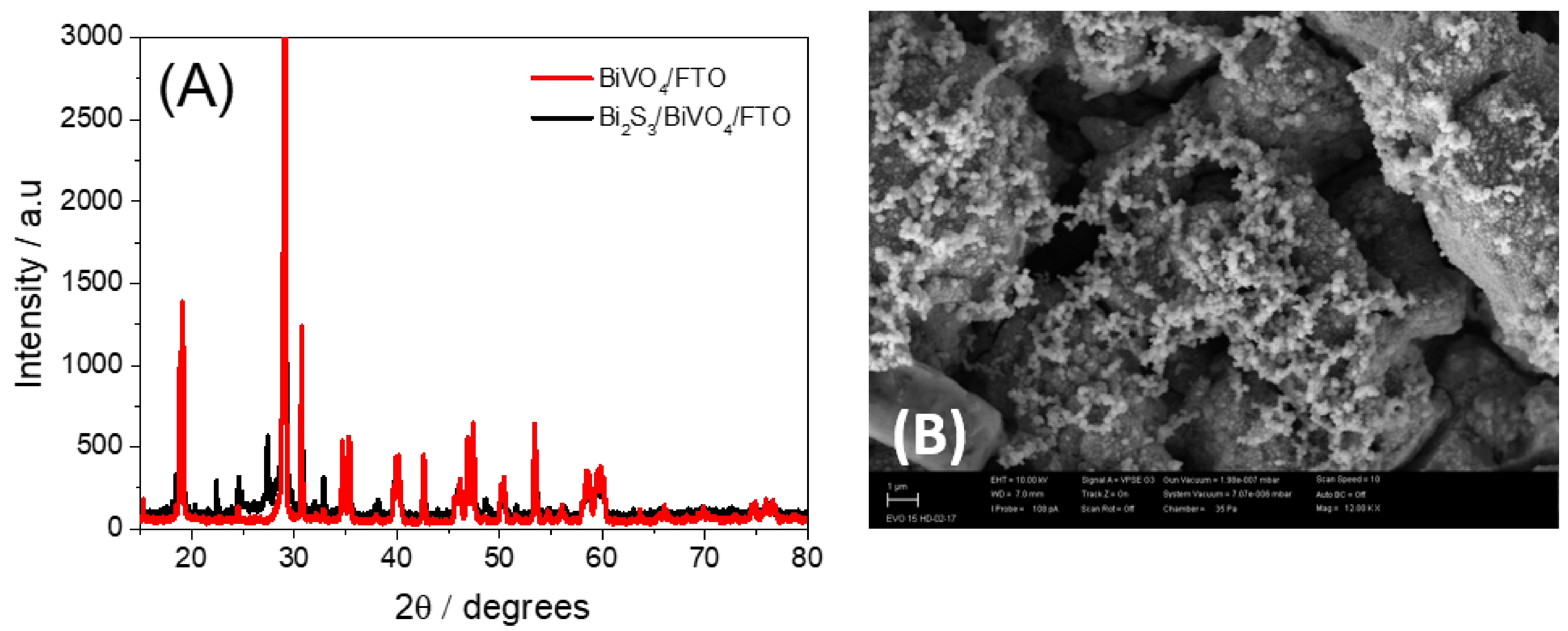 Biosensors 13 00379 g001 Biosensors 13 00379 g001