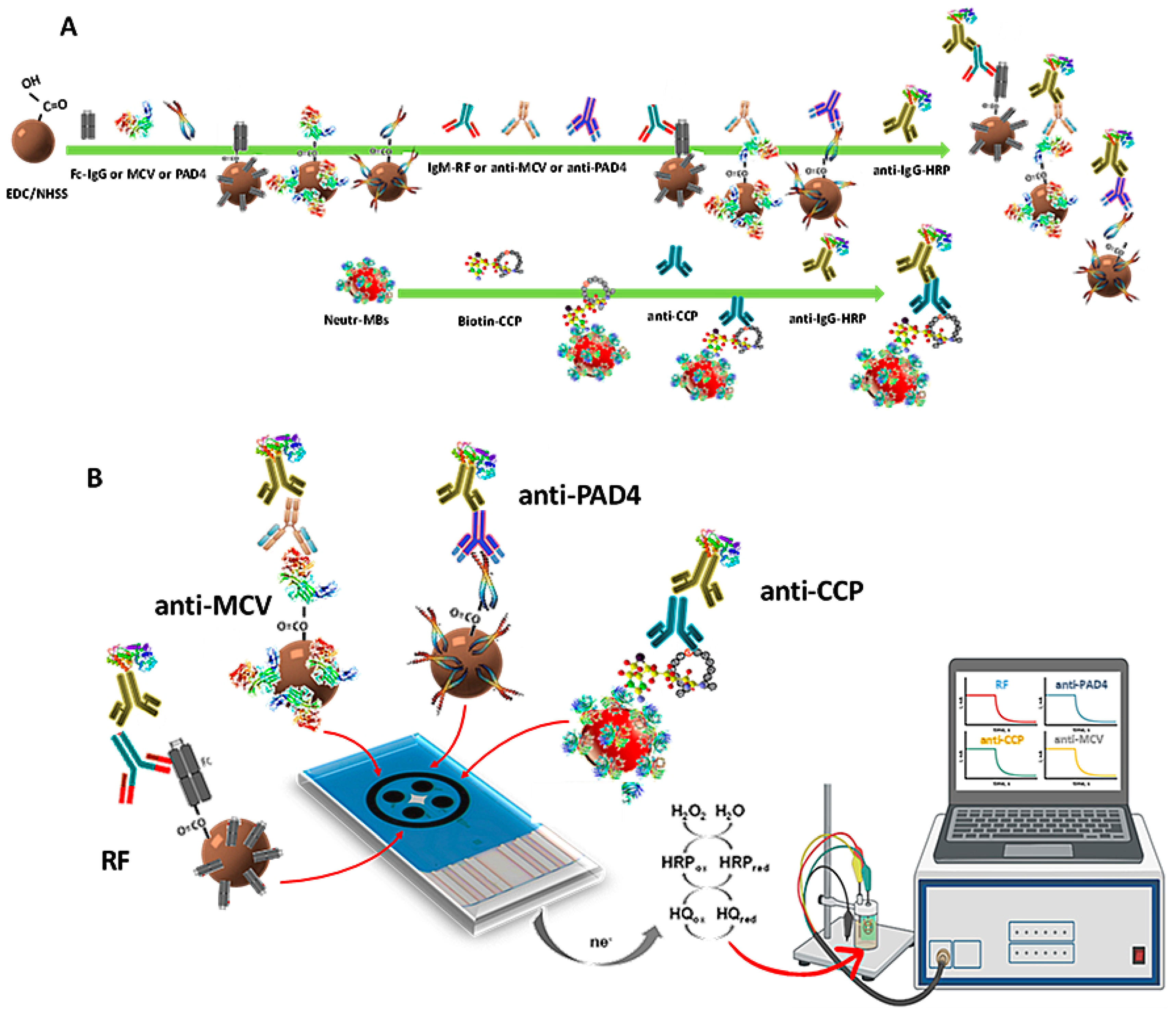 Biosensors 13 00381 g001