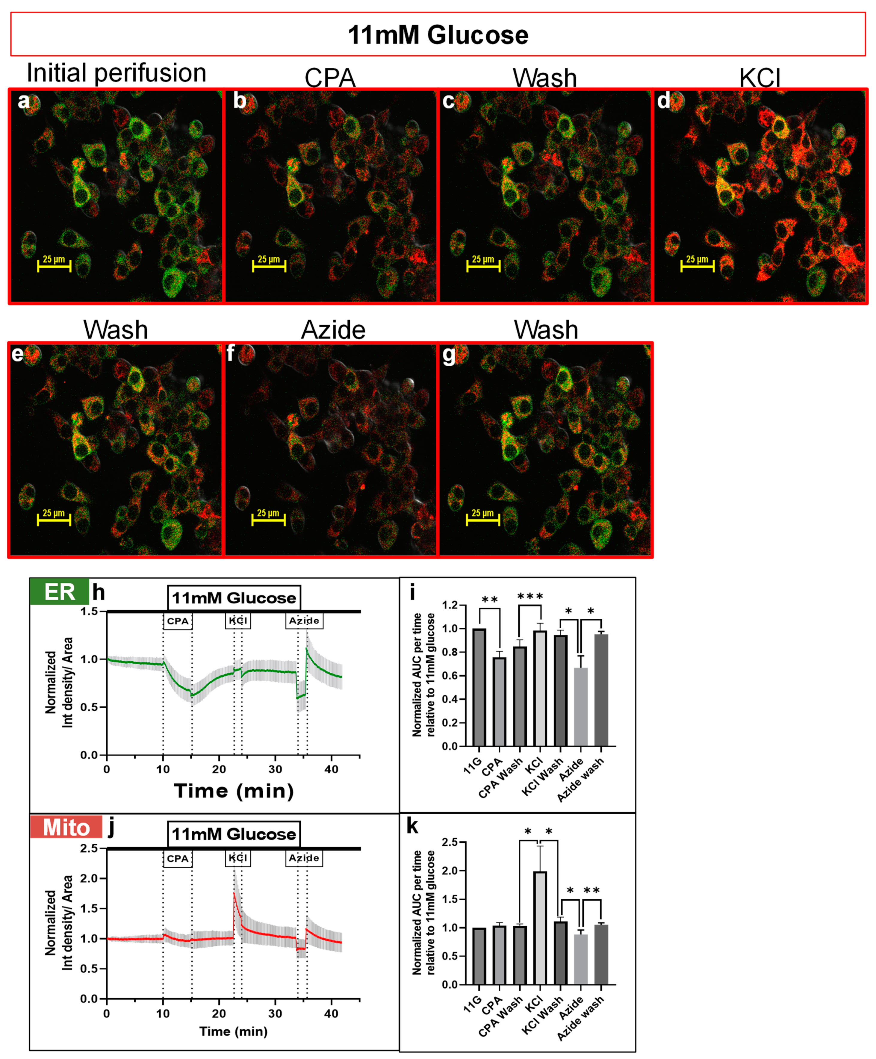 Biosensors 13 00382 g002 Biosensors 13 00382 g002