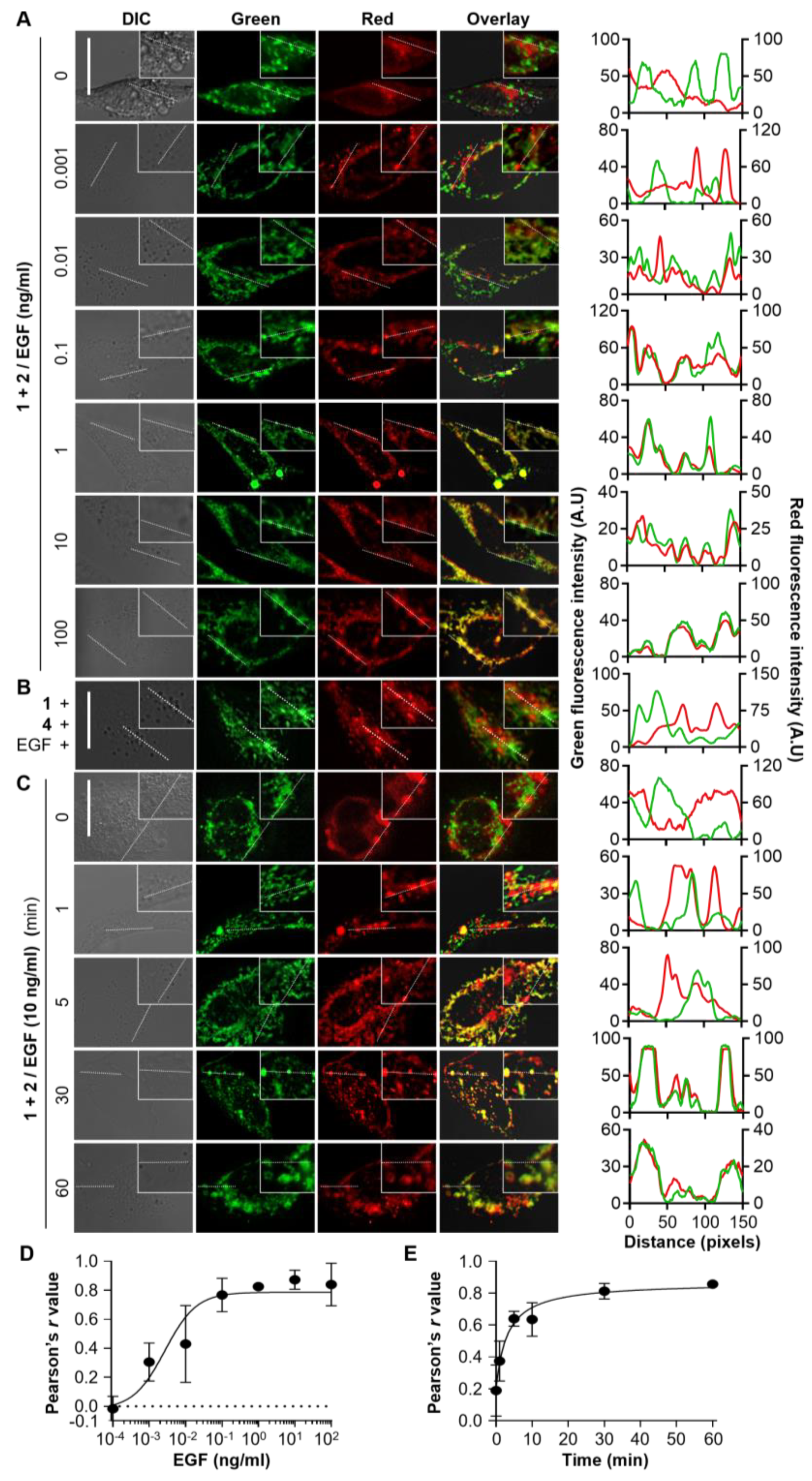 Biosensors 13 00383 g002 Biosensors 13 00383 g002