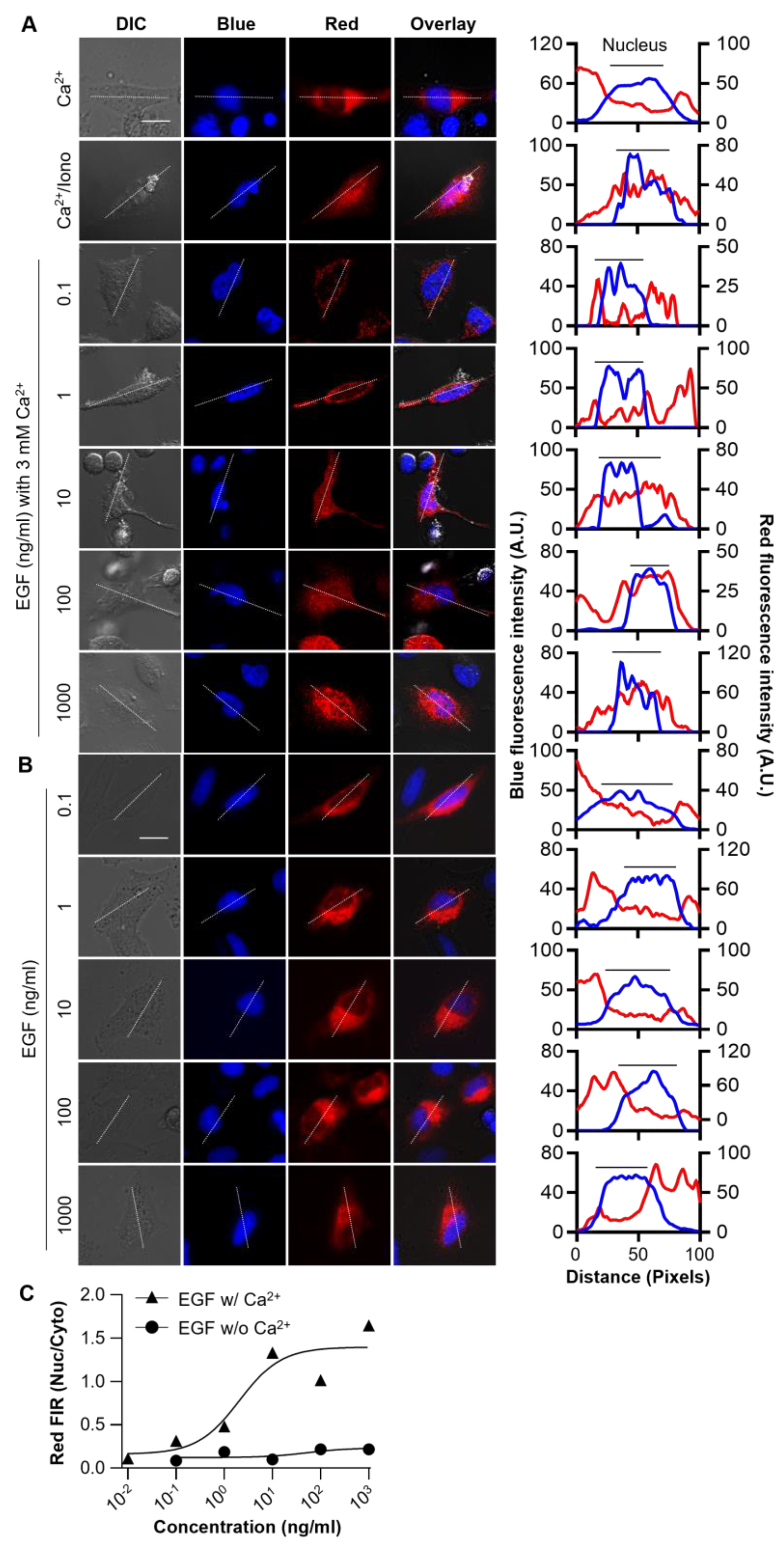 Biosensors 13 00383 g004 Biosensors 13 00383 g004