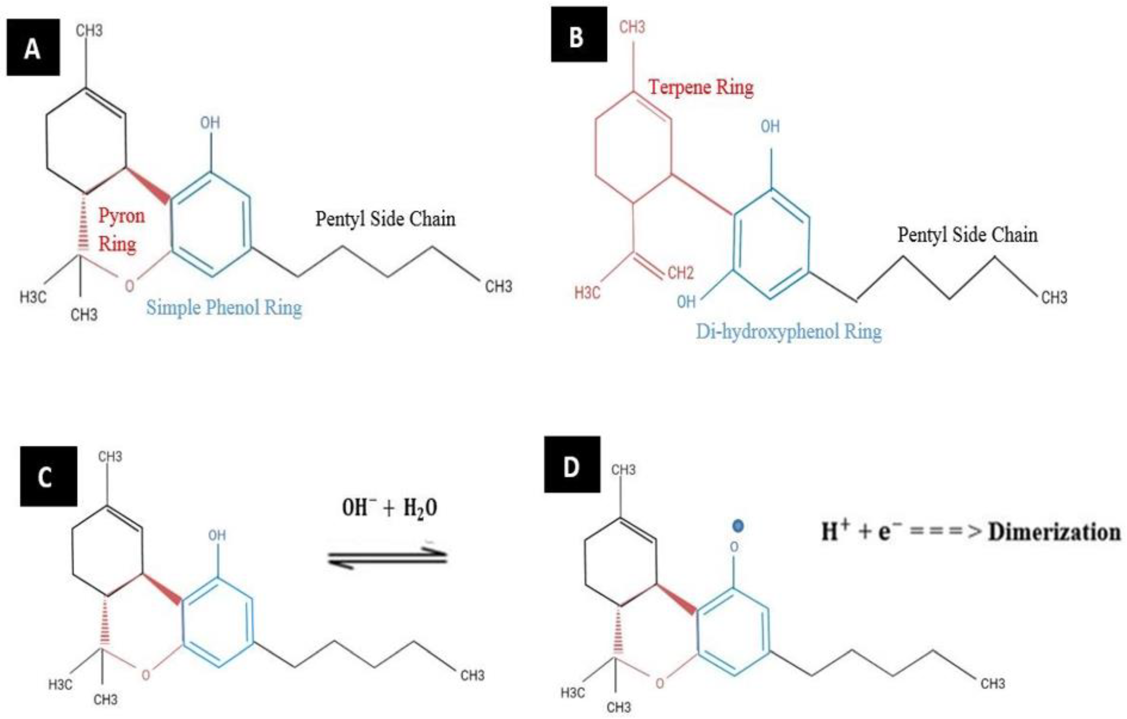 Biosensors 13 00384 g001 Biosensors 13 00384 g001