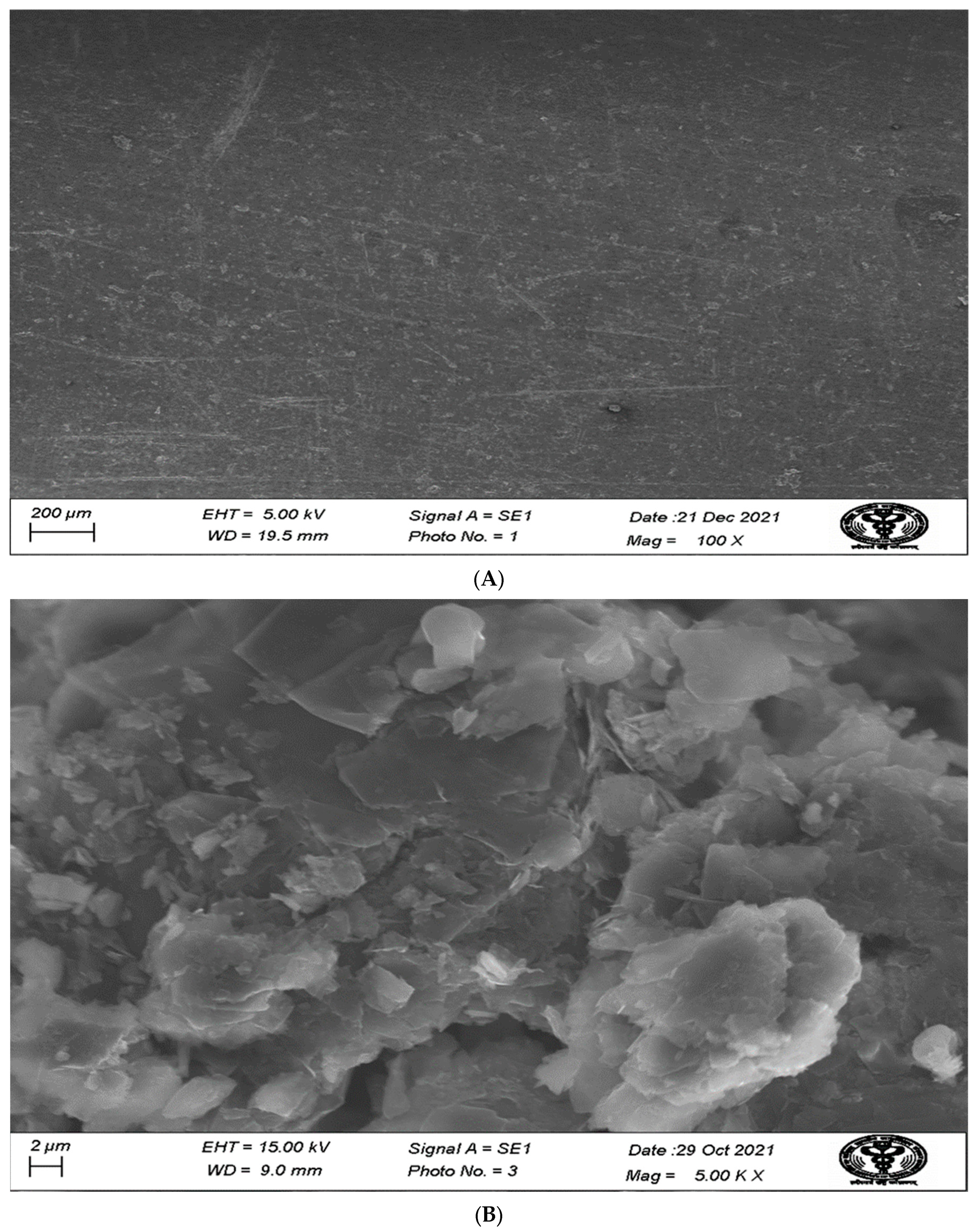 Biosensors 13 00386 g006