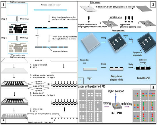 Biosensors 13 00387 g002