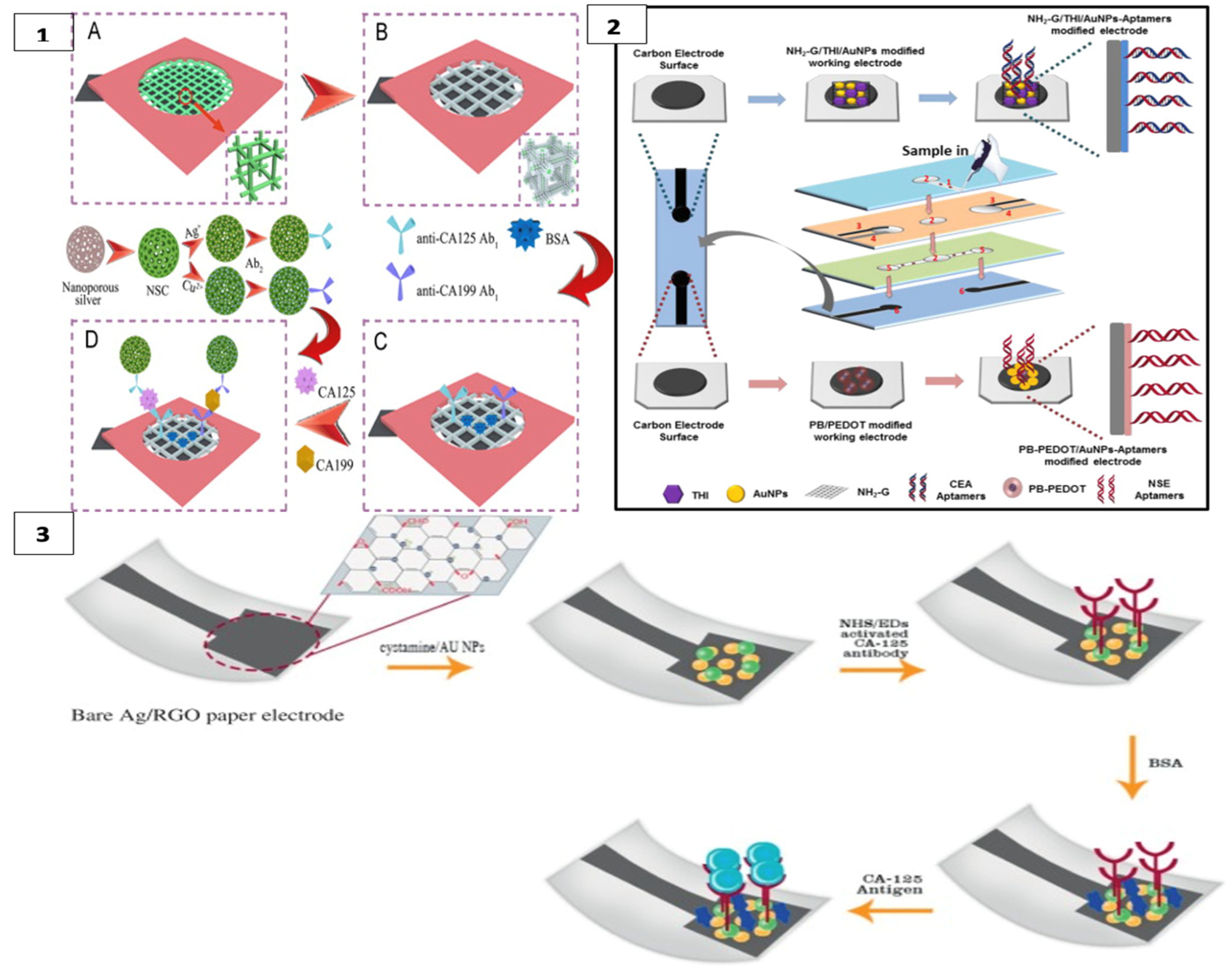 Biosensors 13 00387 g003