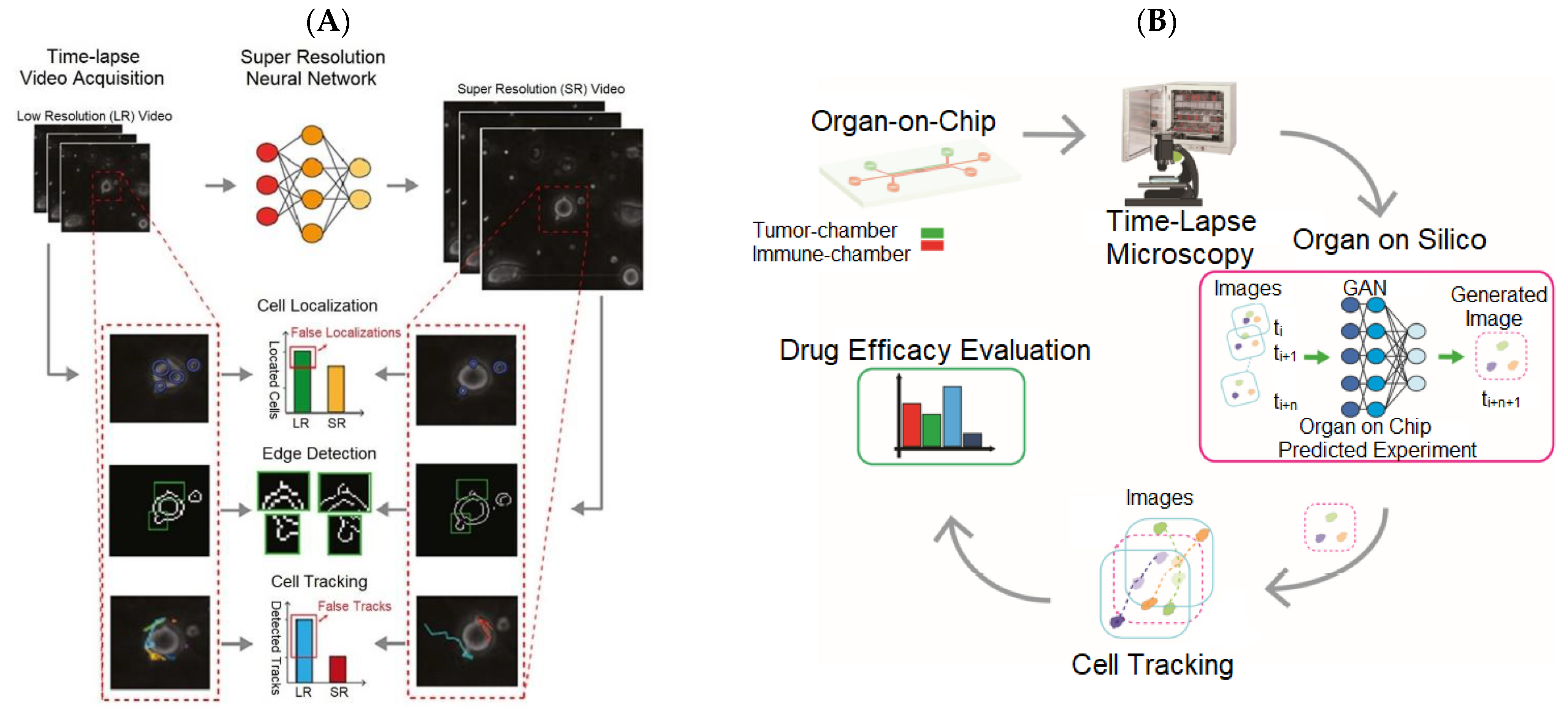 Biosensors 13 00389 g002
