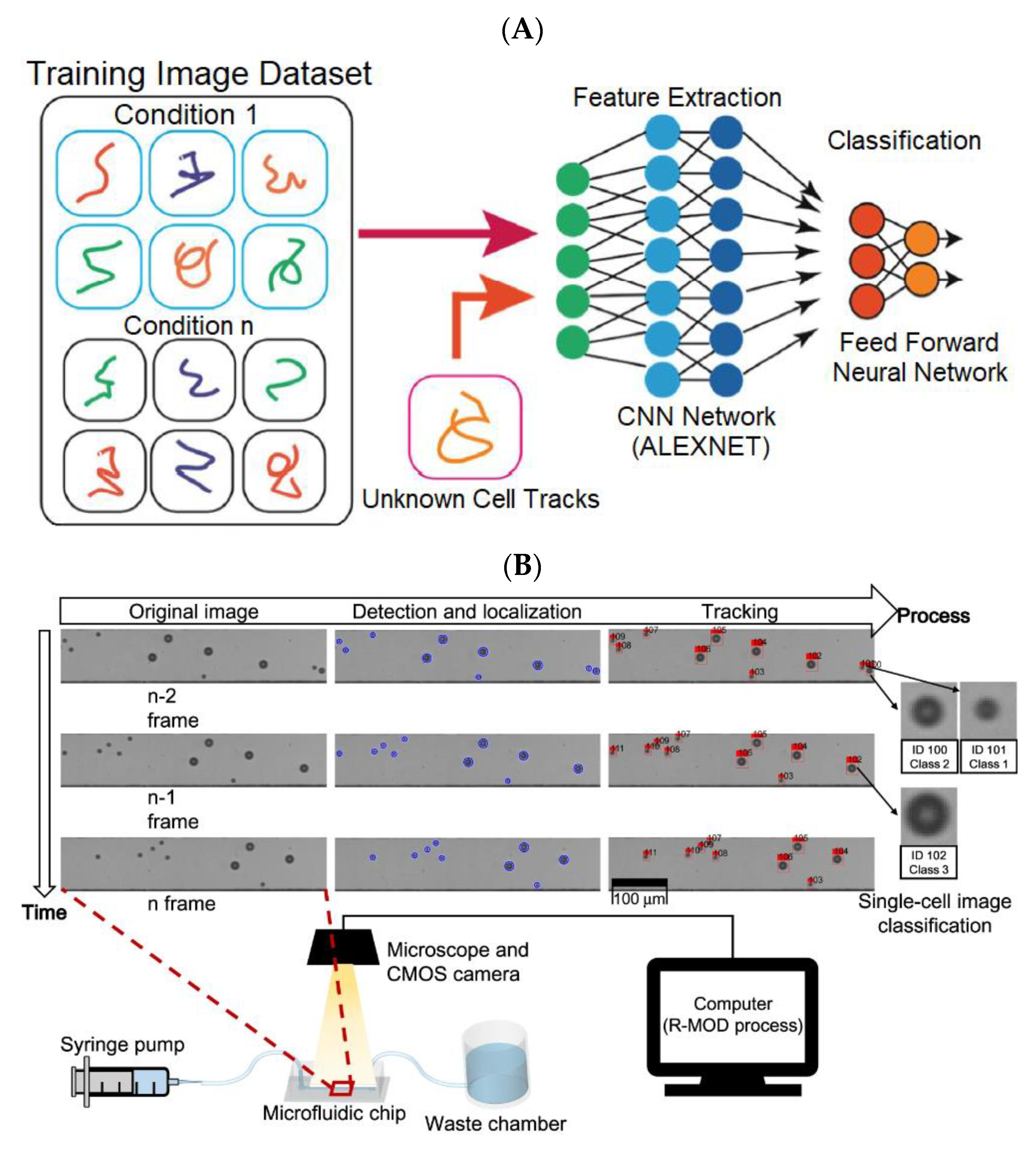 Biosensors 13 00389 g004