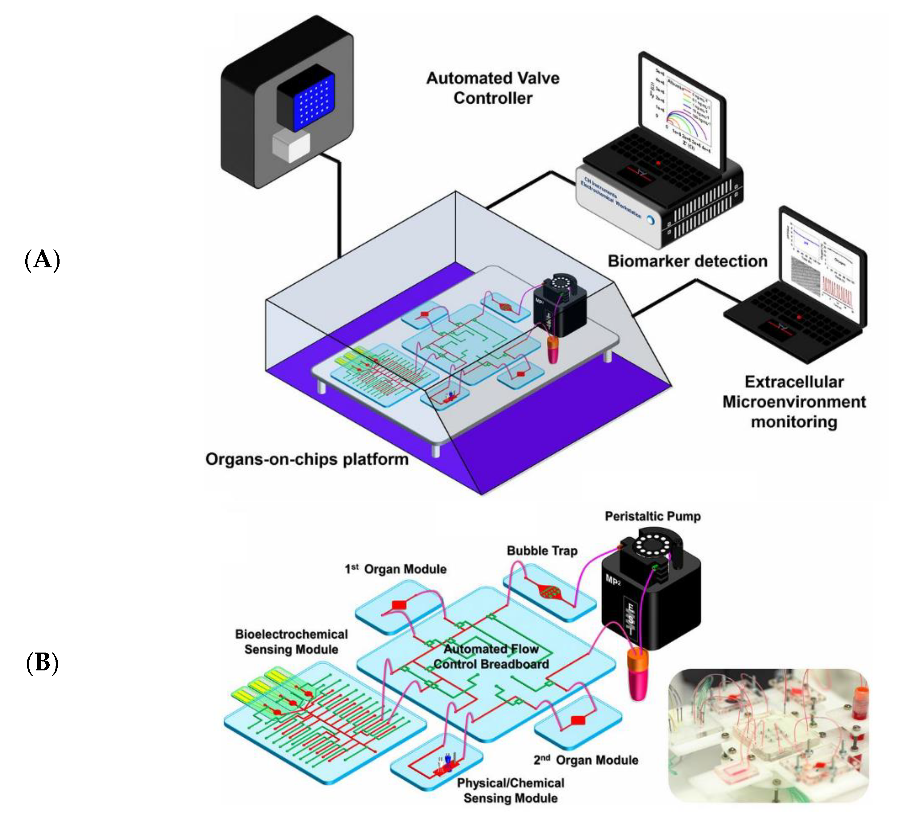 Biosensors 13 00389 g005