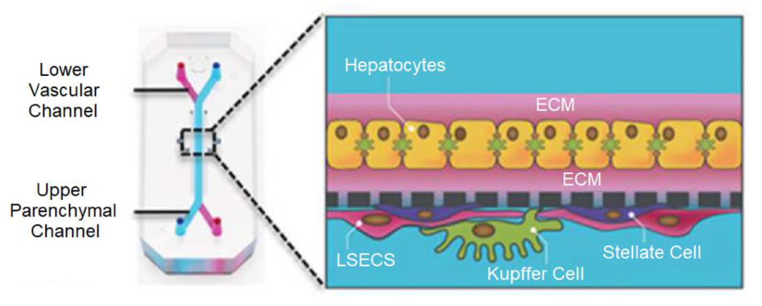 Biosensors 13 00389 g008