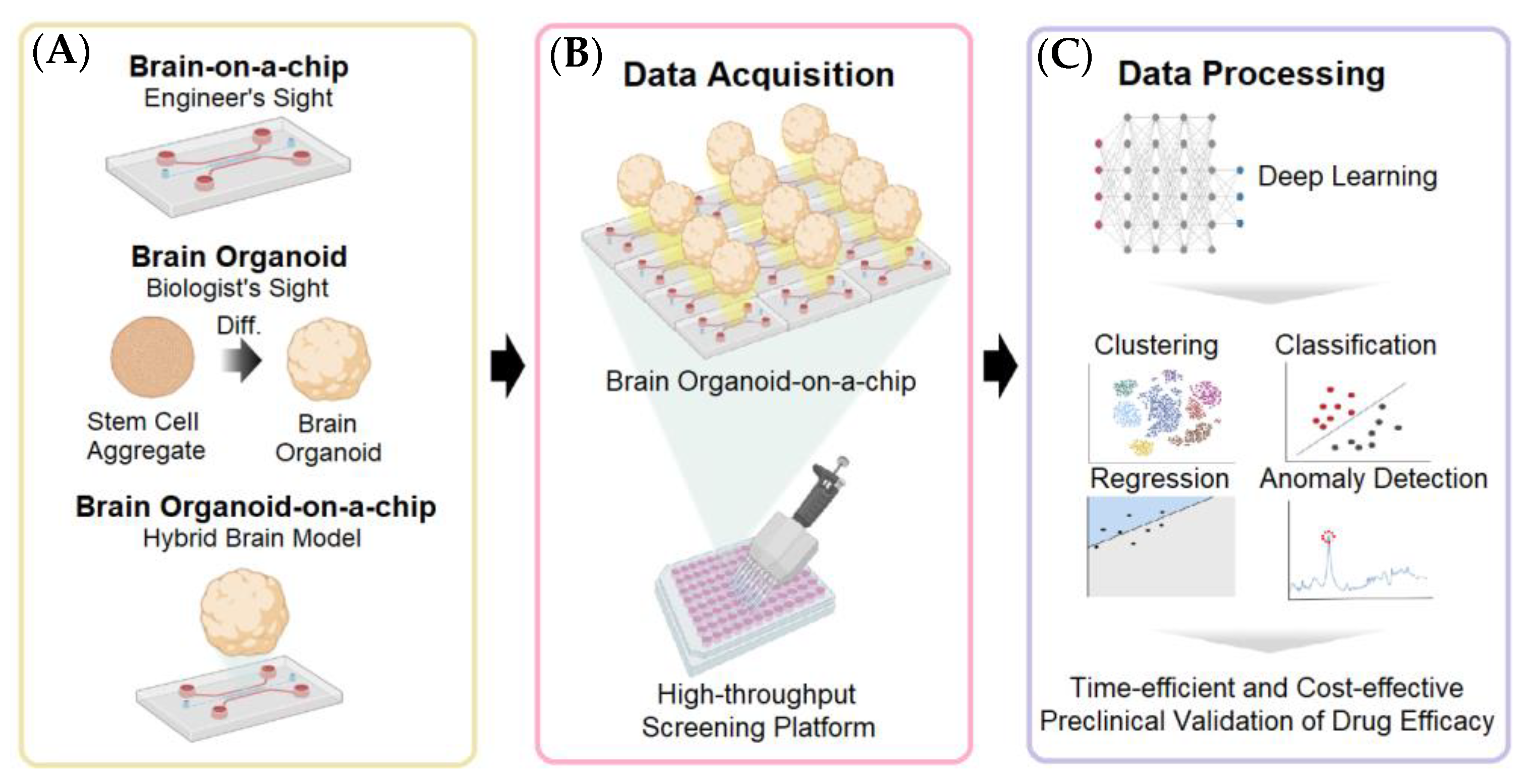 Biosensors 13 00389 g011