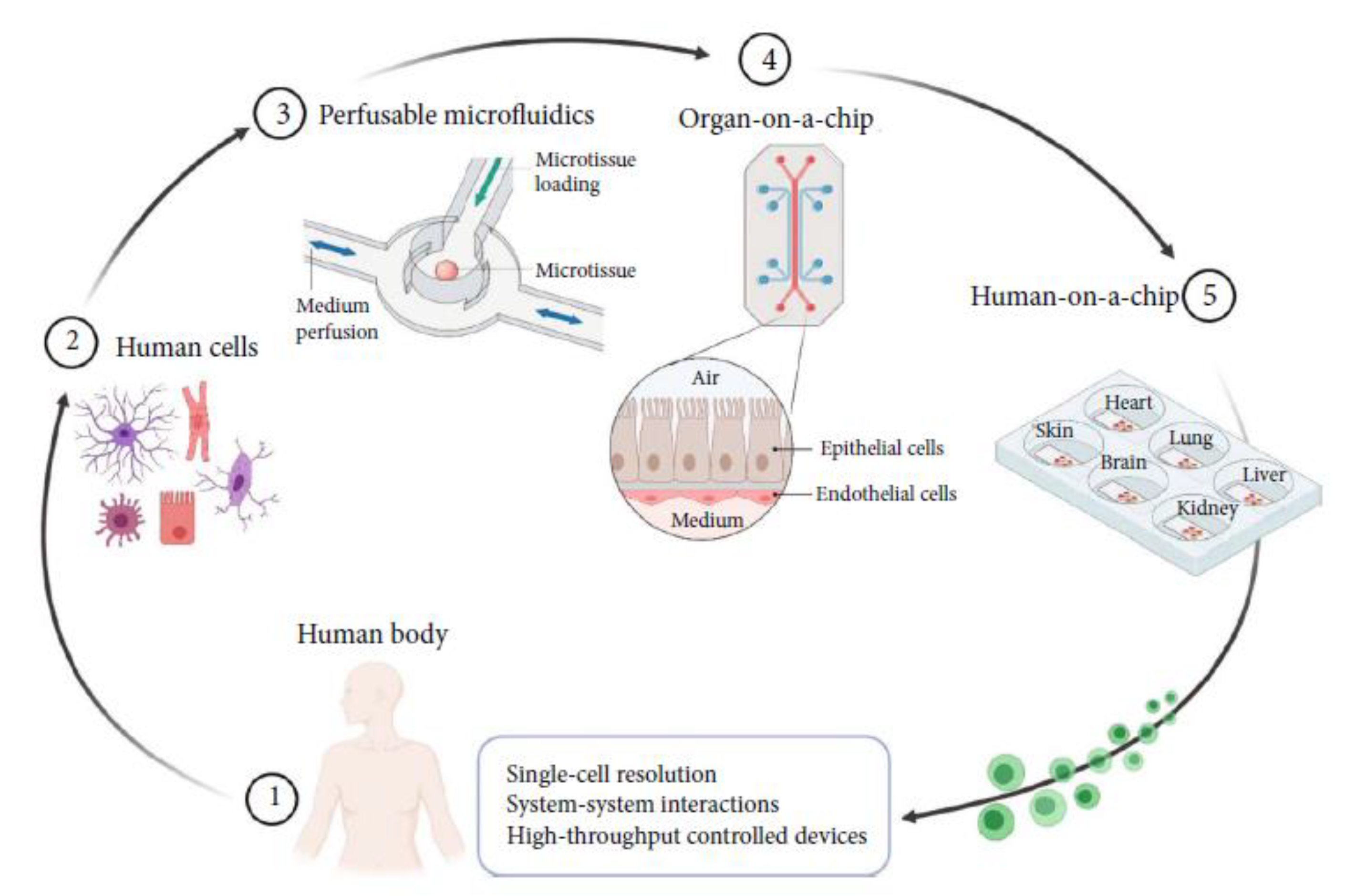Biosensors 13 00389 g014