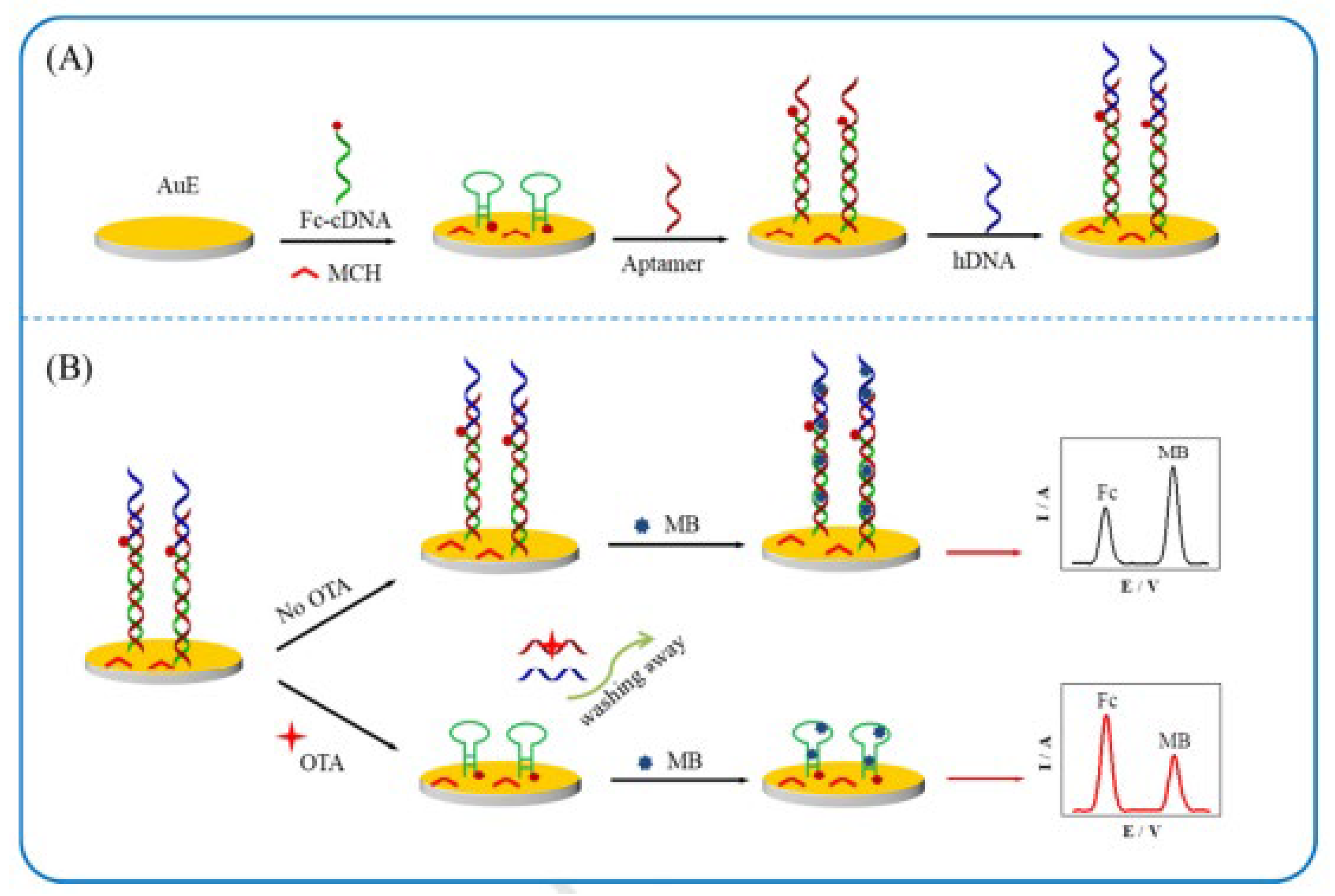 Biosensors 13 00391 g004