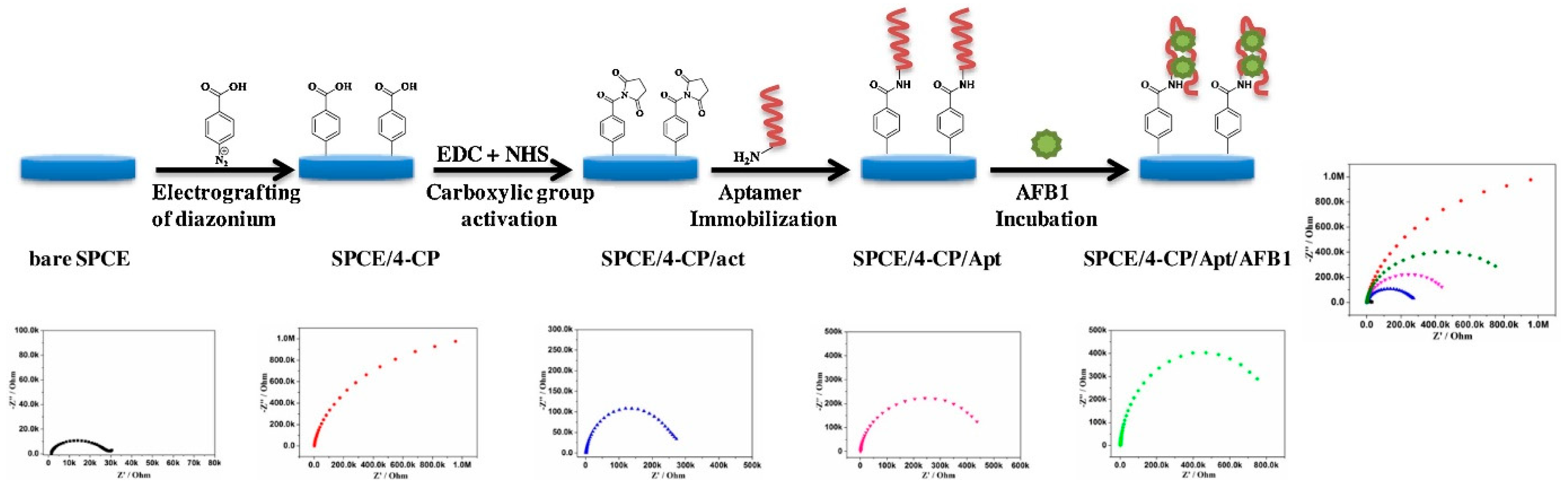 Biosensors 13 00391 g008
