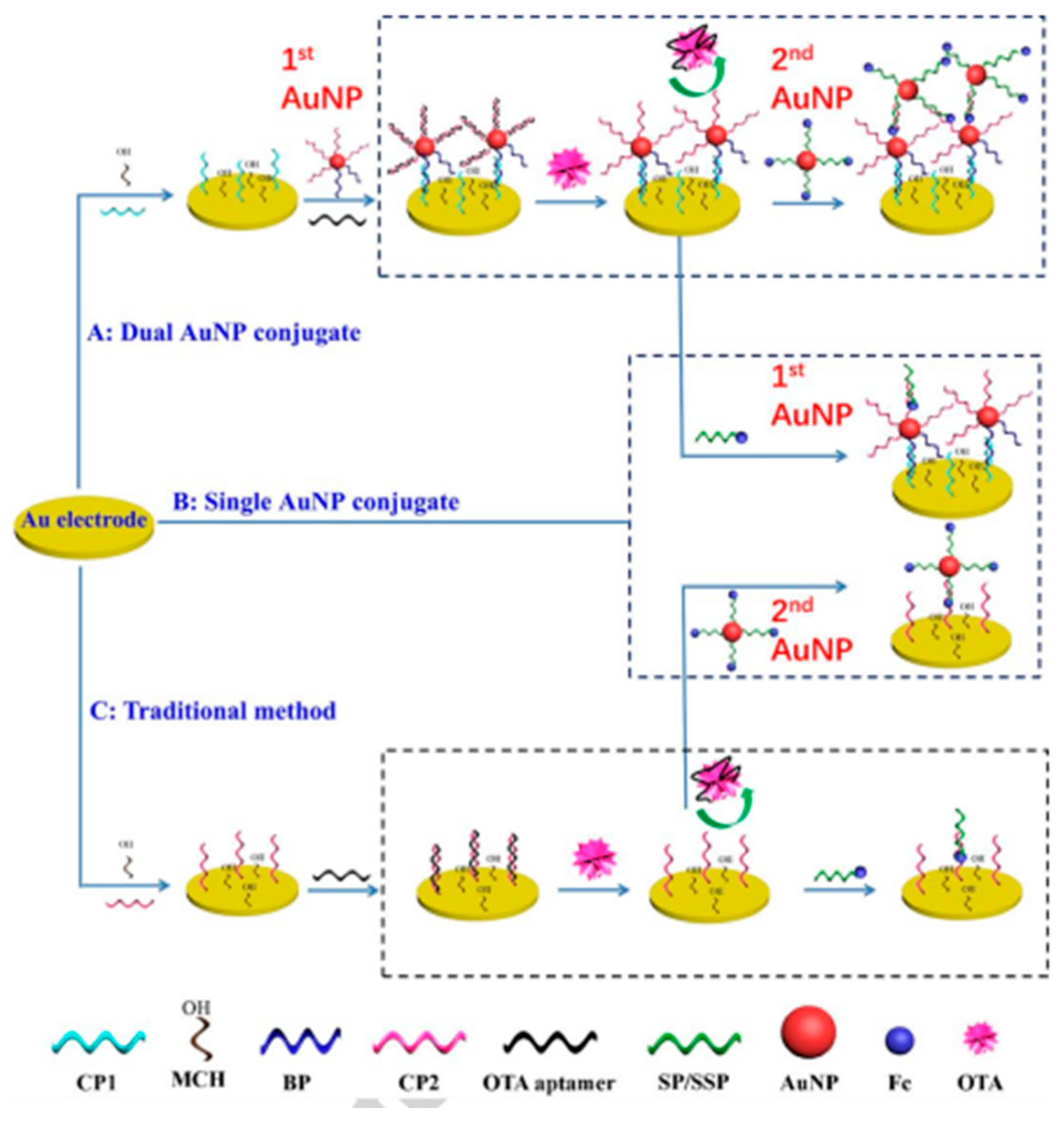 Biosensors 13 00391 g011