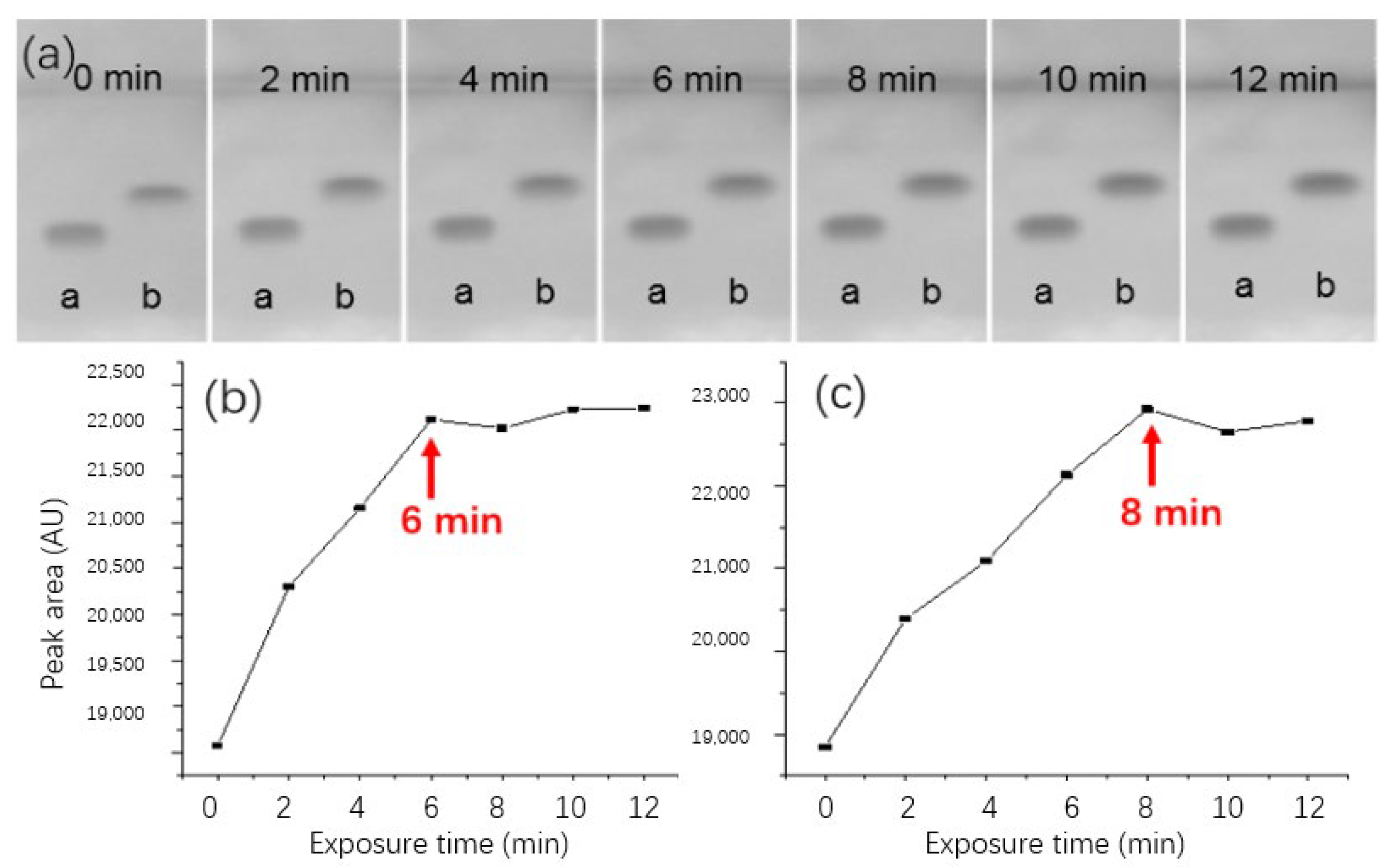 Biosensors 13 00392 g002