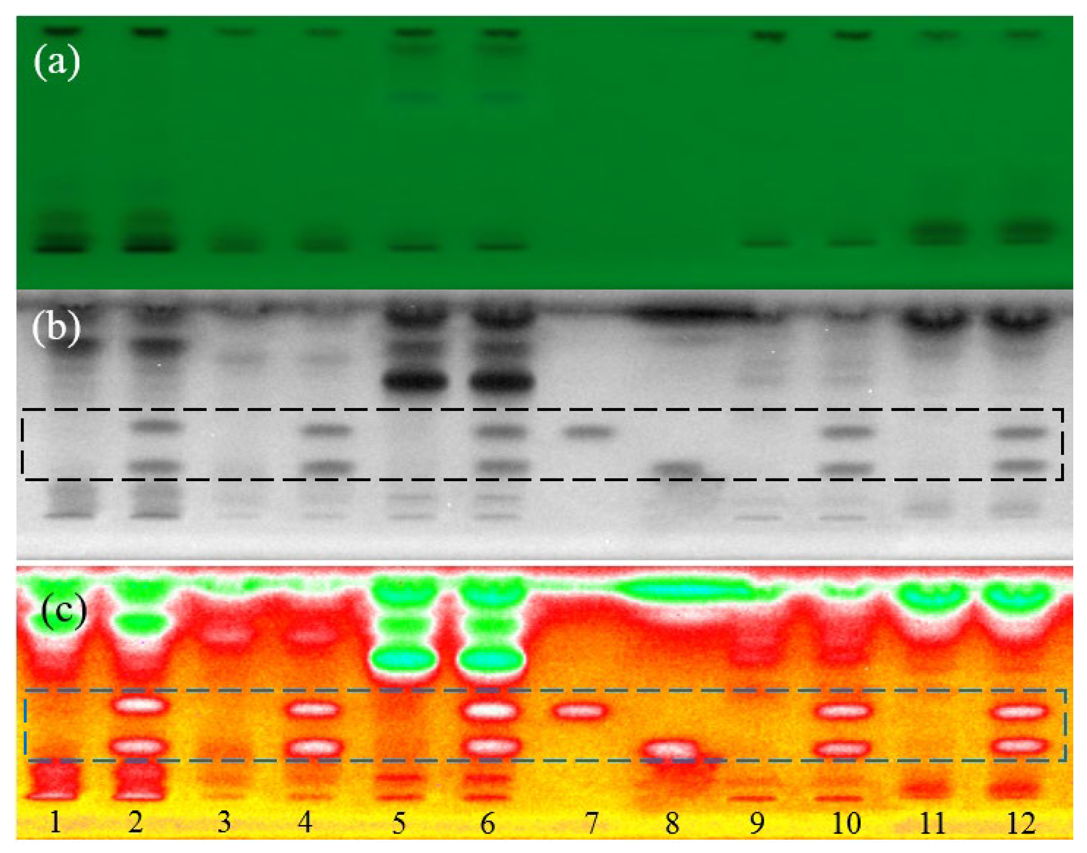 Biosensors 13 00392 g003